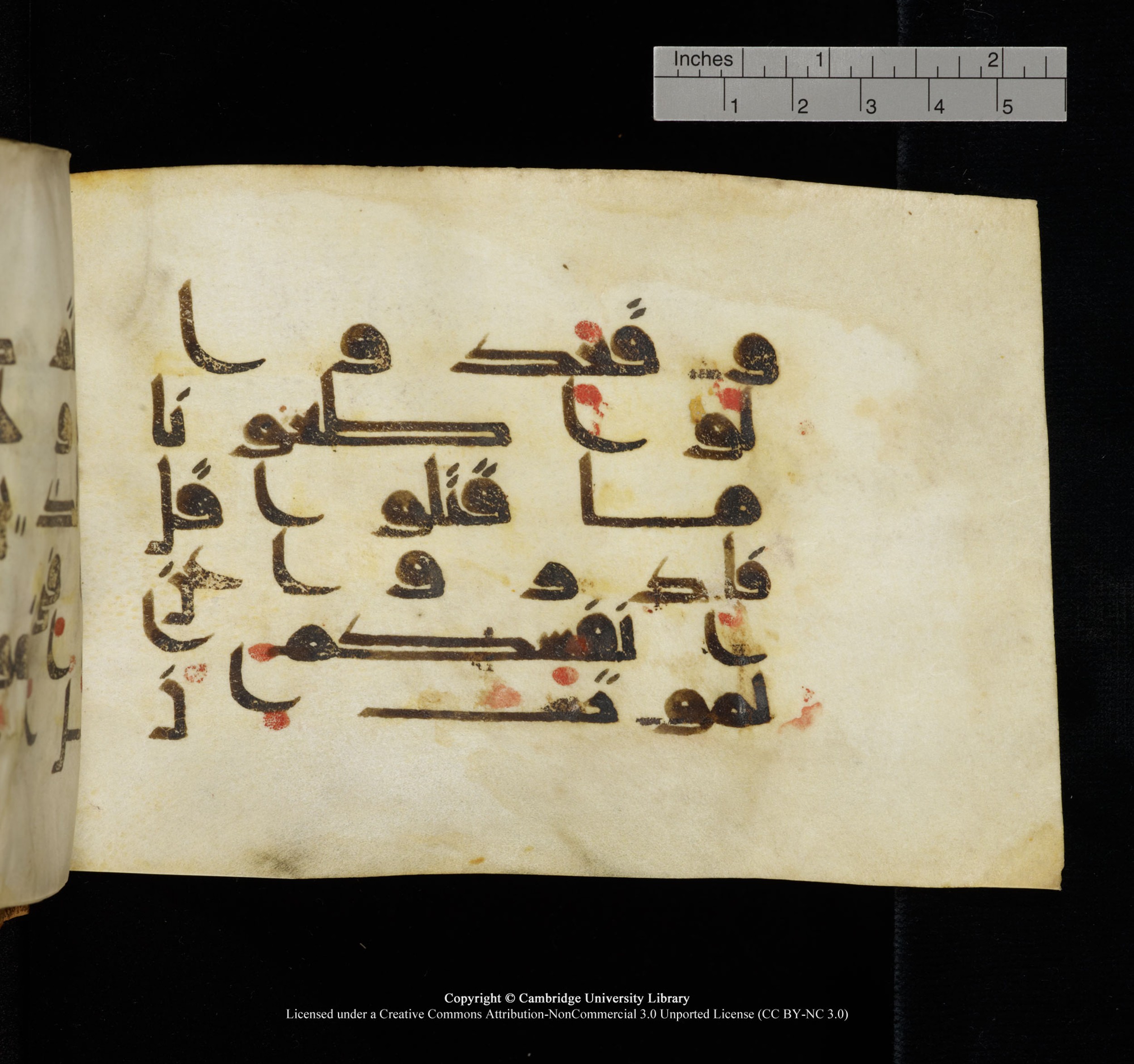 Cambridge, Cambridge University Library, MS Add.1117 (Scan 2), in kūfī D II script, showing Surah 3:168 from 9th or 10th Century AD found in Sinai Peninsula, currently housed at Cambridge University Library, Cambridge