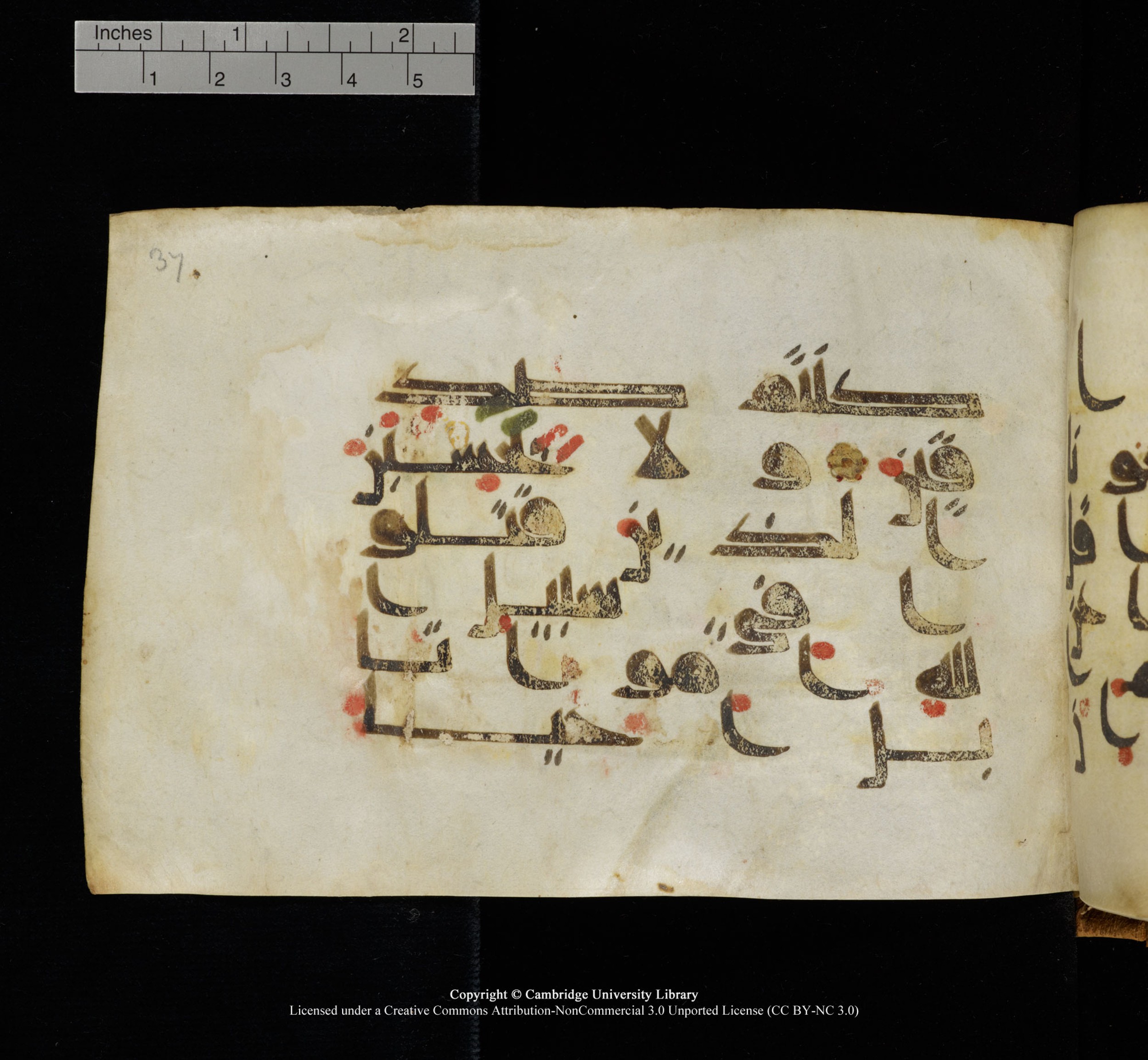 Cambridge, Cambridge University Library, MS Add.1117 (Scan 1), in kūfī D II script, showing Surah 3:169 from 9th or 10th Century AD found in Sinai Peninsula, currently housed at Cambridge University Library, Cambridge