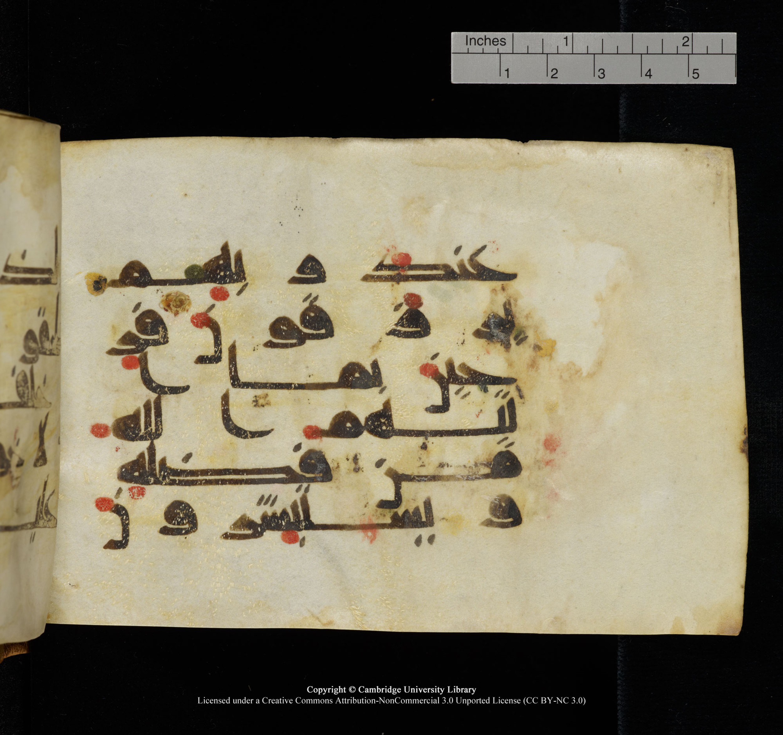 Cambridge, Cambridge University Library, MS Add.1117 (Scan 2), in kūfī D II script, showing Surah 3:169 from 9th or 10th Century AD found in Sinai Peninsula, currently housed at Cambridge University Library, Cambridge