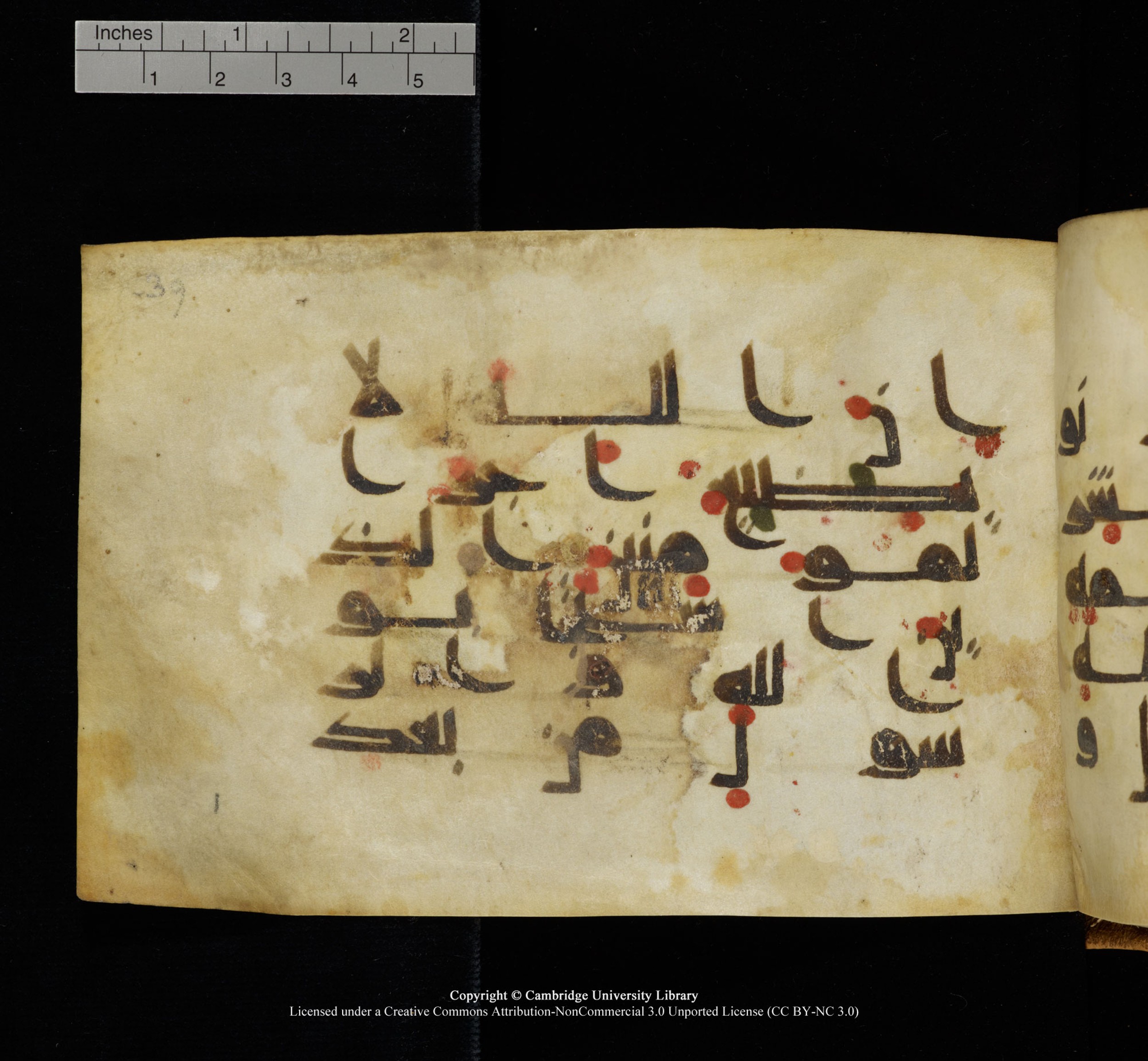 Cambridge, Cambridge University Library, MS Add.1117 (Scan 1), in kūfī D II script, showing Surah 3:172 from 9th or 10th Century AD found in Sinai Peninsula, currently housed at Cambridge University Library, Cambridge