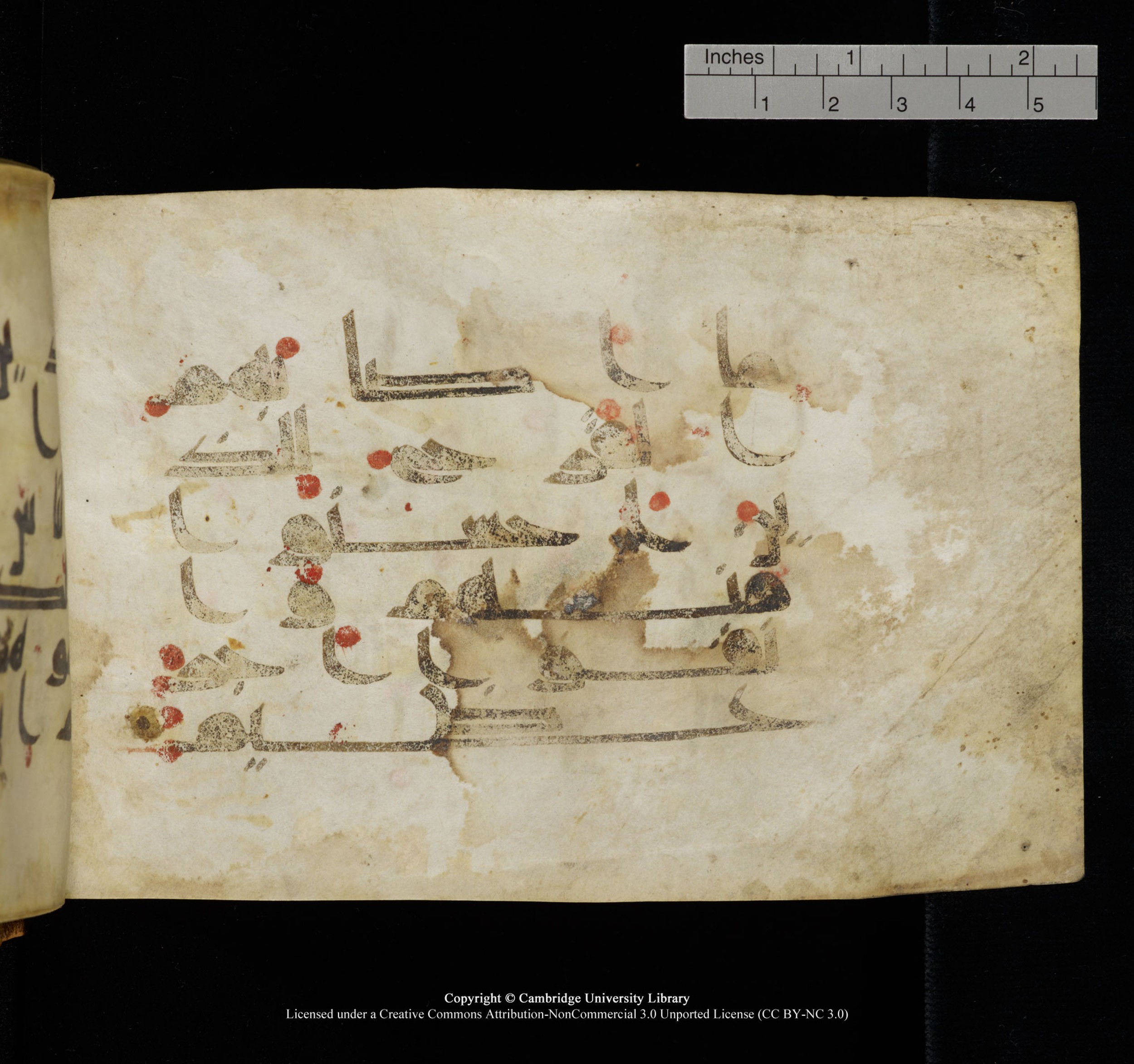 Cambridge, Cambridge University Library, MS Add.1117 (Scan 2), in kūfī D II script, showing Surah 3:172 from 9th or 10th Century AD found in Sinai Peninsula, currently housed at Cambridge University Library, Cambridge
