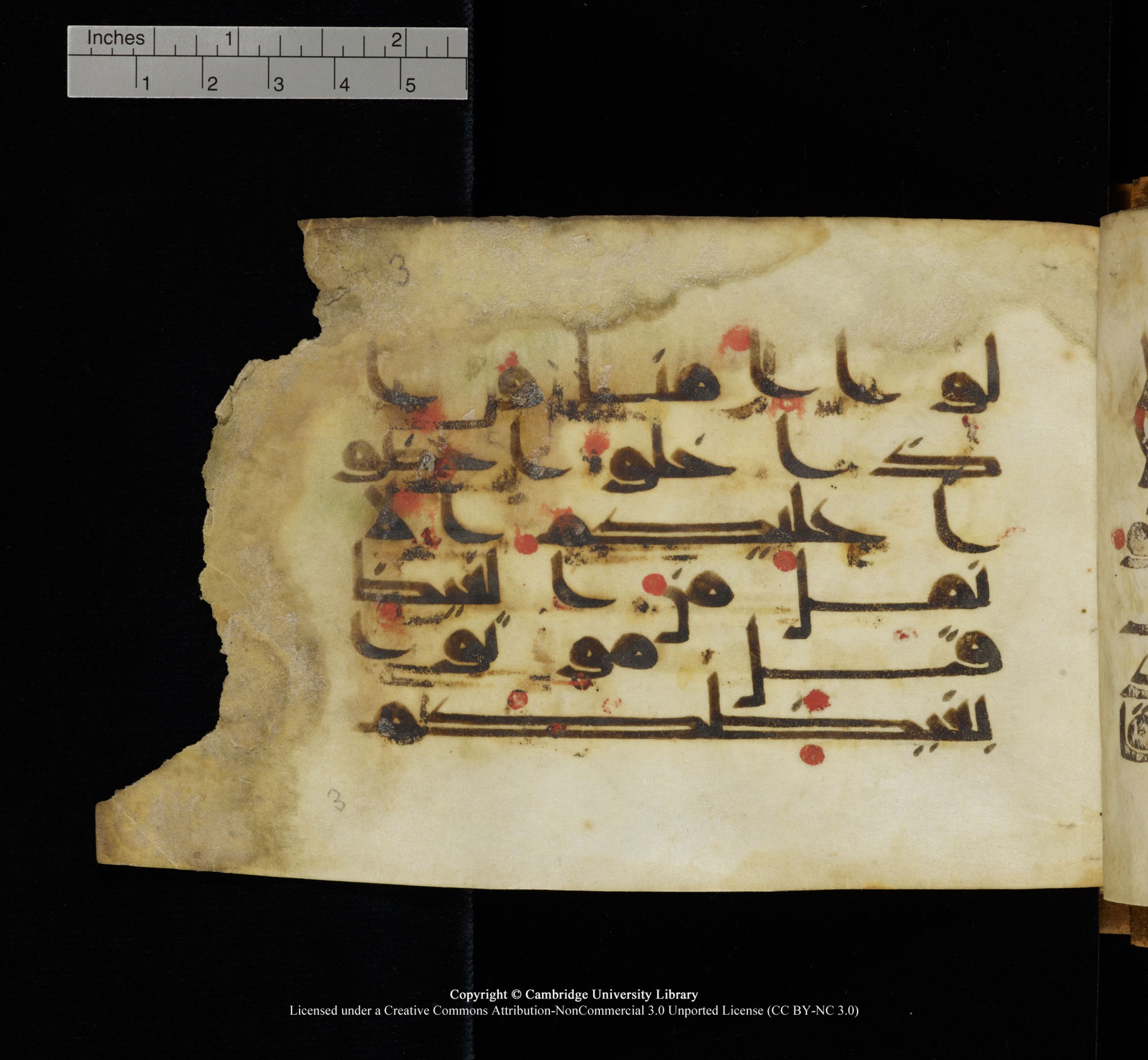 Cambridge, Cambridge University Library, MS Add.1117 (Scan 2), in kūfī D II script, showing Surah 3:119 from 9th or 10th Century AD found in Sinai Peninsula, currently housed at Cambridge University Library, Cambridge