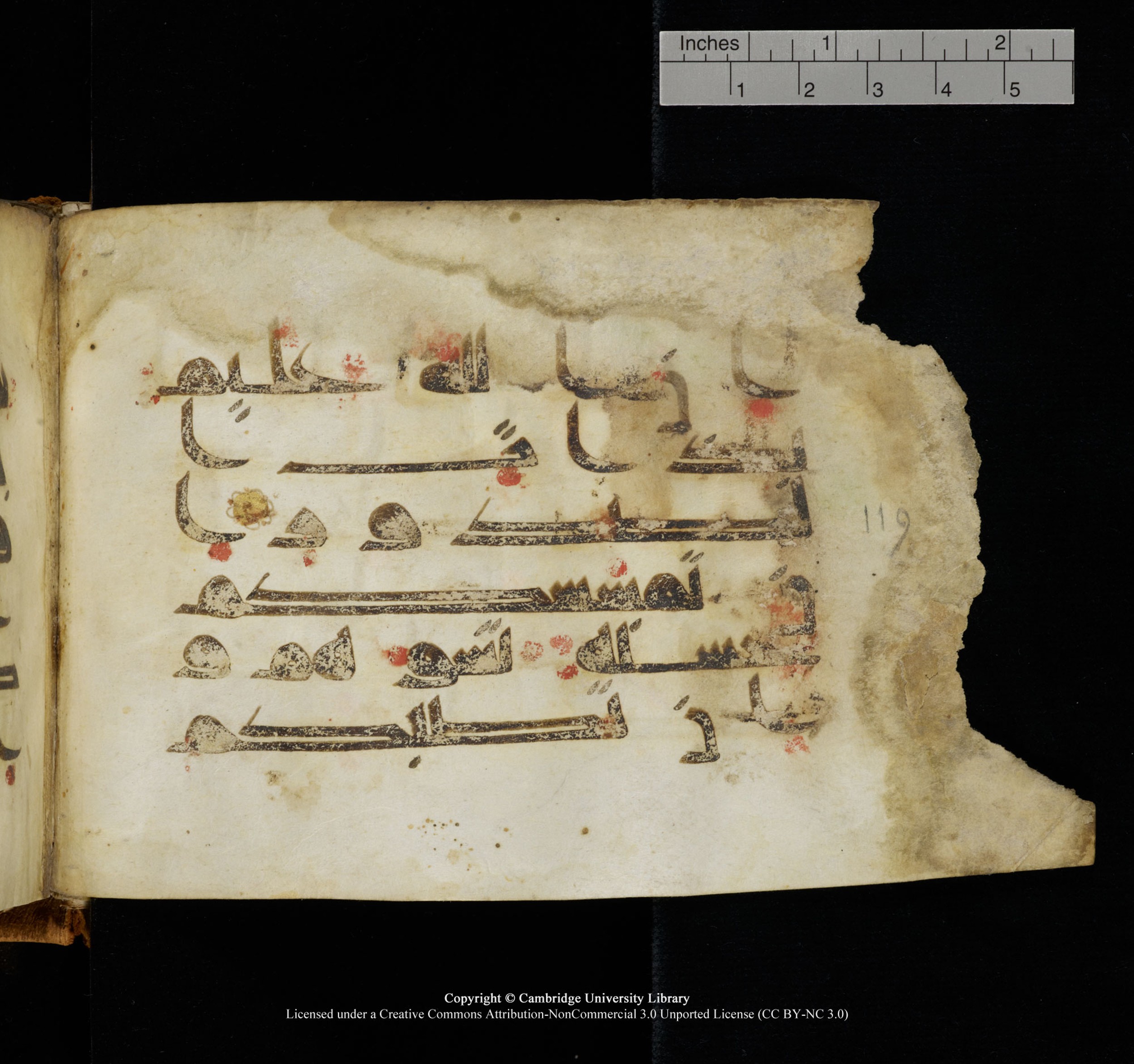 Cambridge, Cambridge University Library, MS Add.1117 (Scan 3), in kūfī D II script, showing Surah 3:119 from 9th or 10th Century AD found in Sinai Peninsula, currently housed at Cambridge University Library, Cambridge