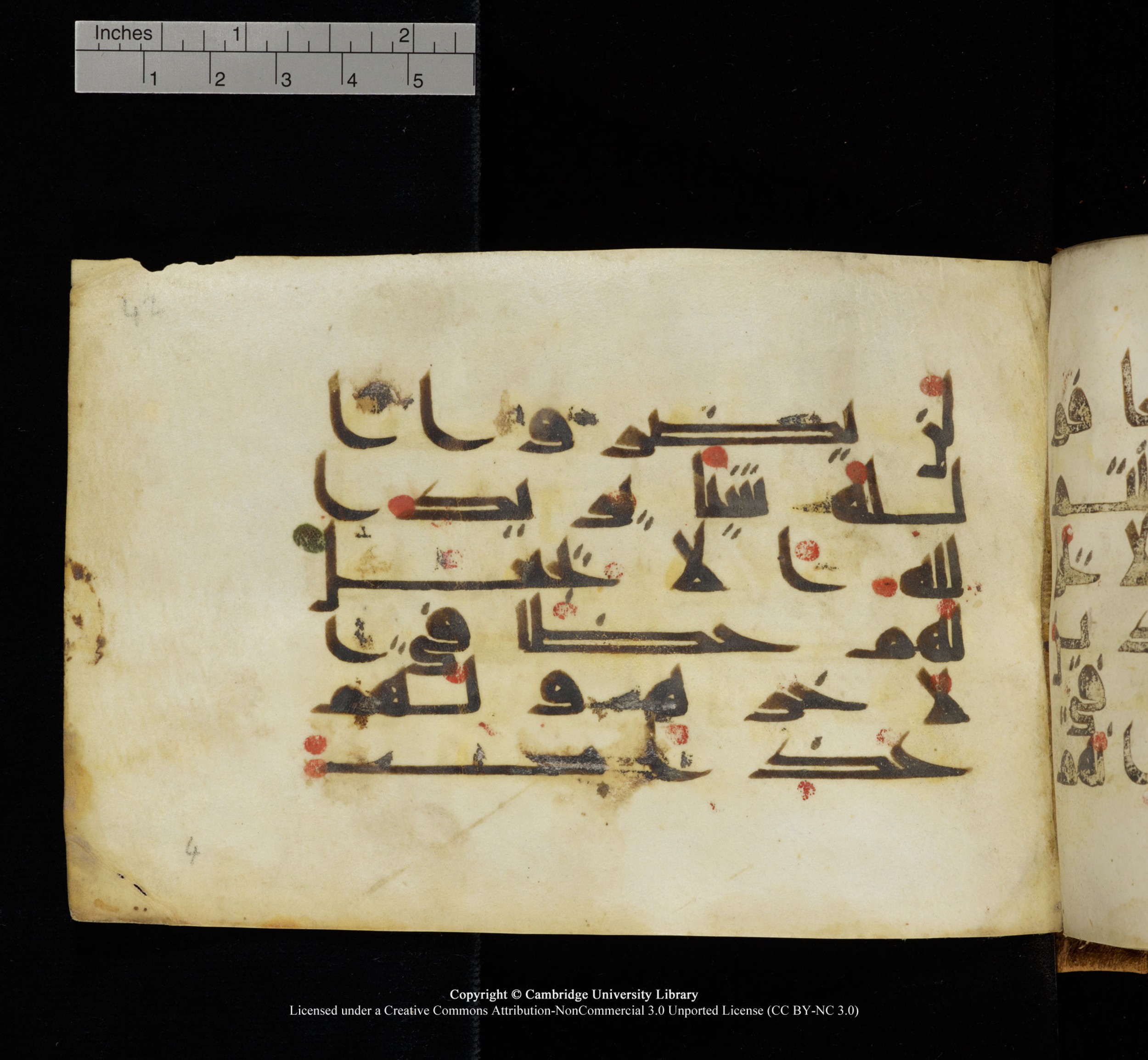 Cambridge, Cambridge University Library, MS Add.1117 (Scan 2), in kūfī D II script, showing Surah 3:176 from 9th or 10th Century AD found in Sinai Peninsula, currently housed at Cambridge University Library, Cambridge