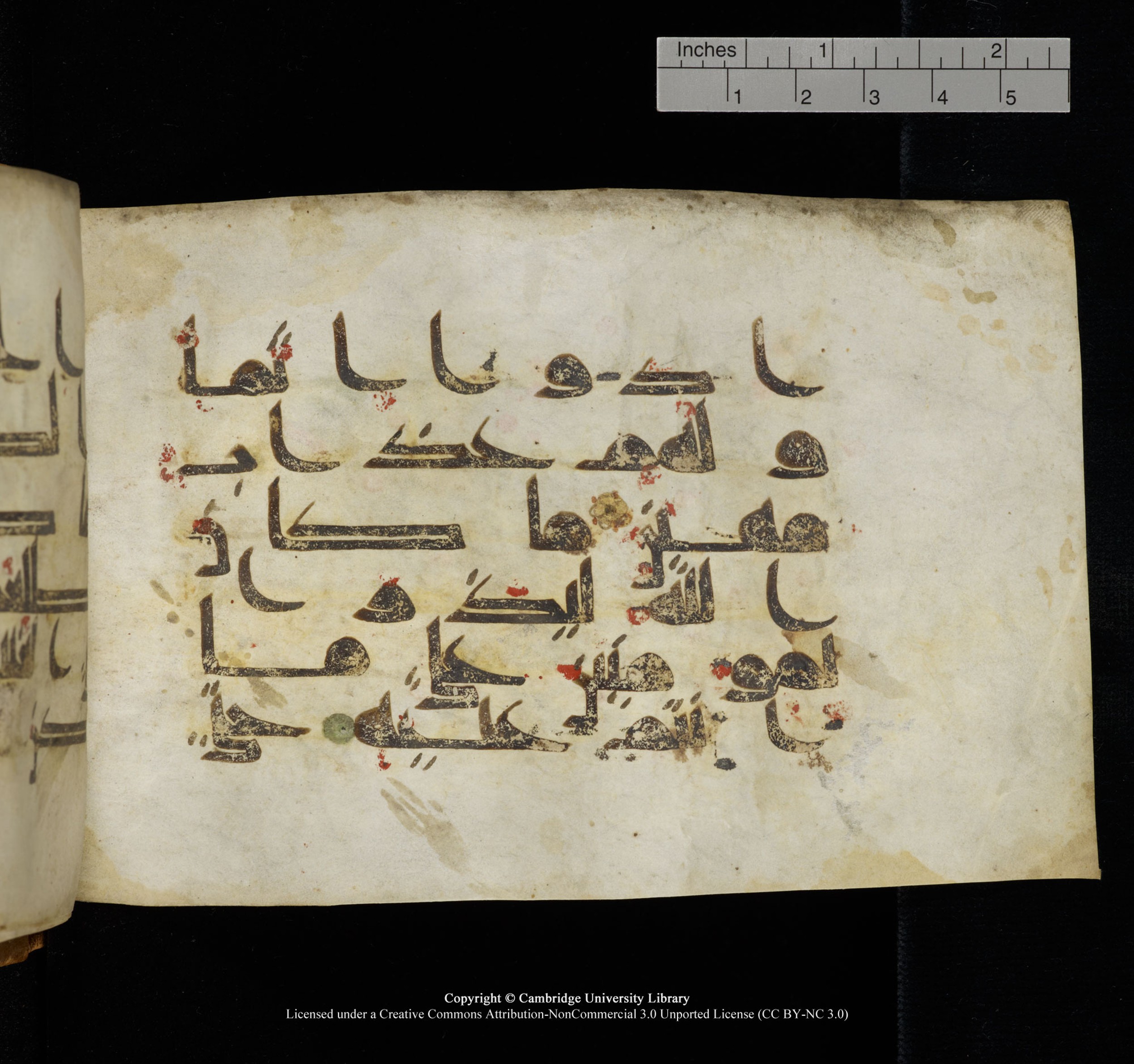 Cambridge, Cambridge University Library, MS Add.1117 (Scan 1), in kūfī D II script, showing Surah 3:179 from 9th or 10th Century AD found in Sinai Peninsula, currently housed at Cambridge University Library, Cambridge