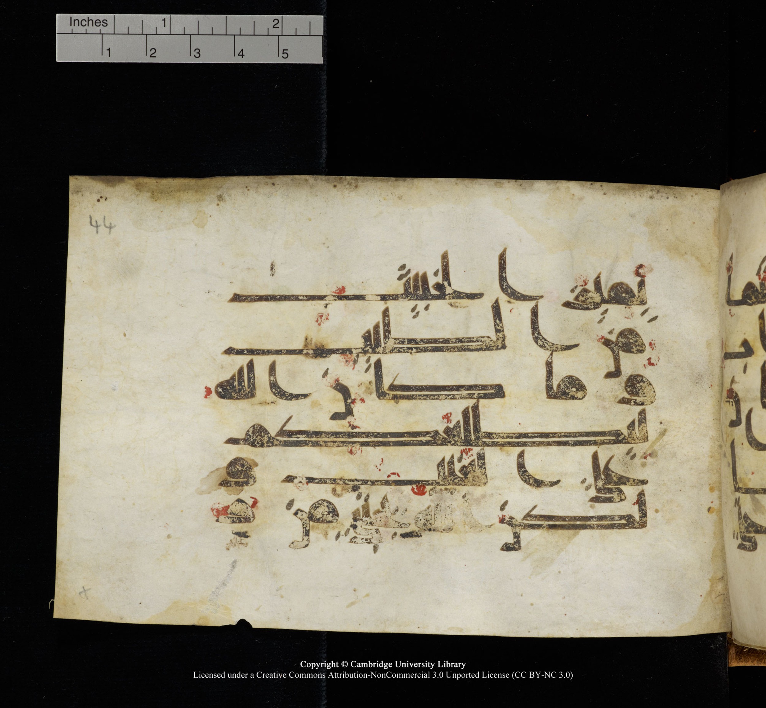 Cambridge, Cambridge University Library, MS Add.1117 (Scan 2), in kūfī D II script, showing Surah 3:179 from 9th or 10th Century AD found in Sinai Peninsula, currently housed at Cambridge University Library, Cambridge