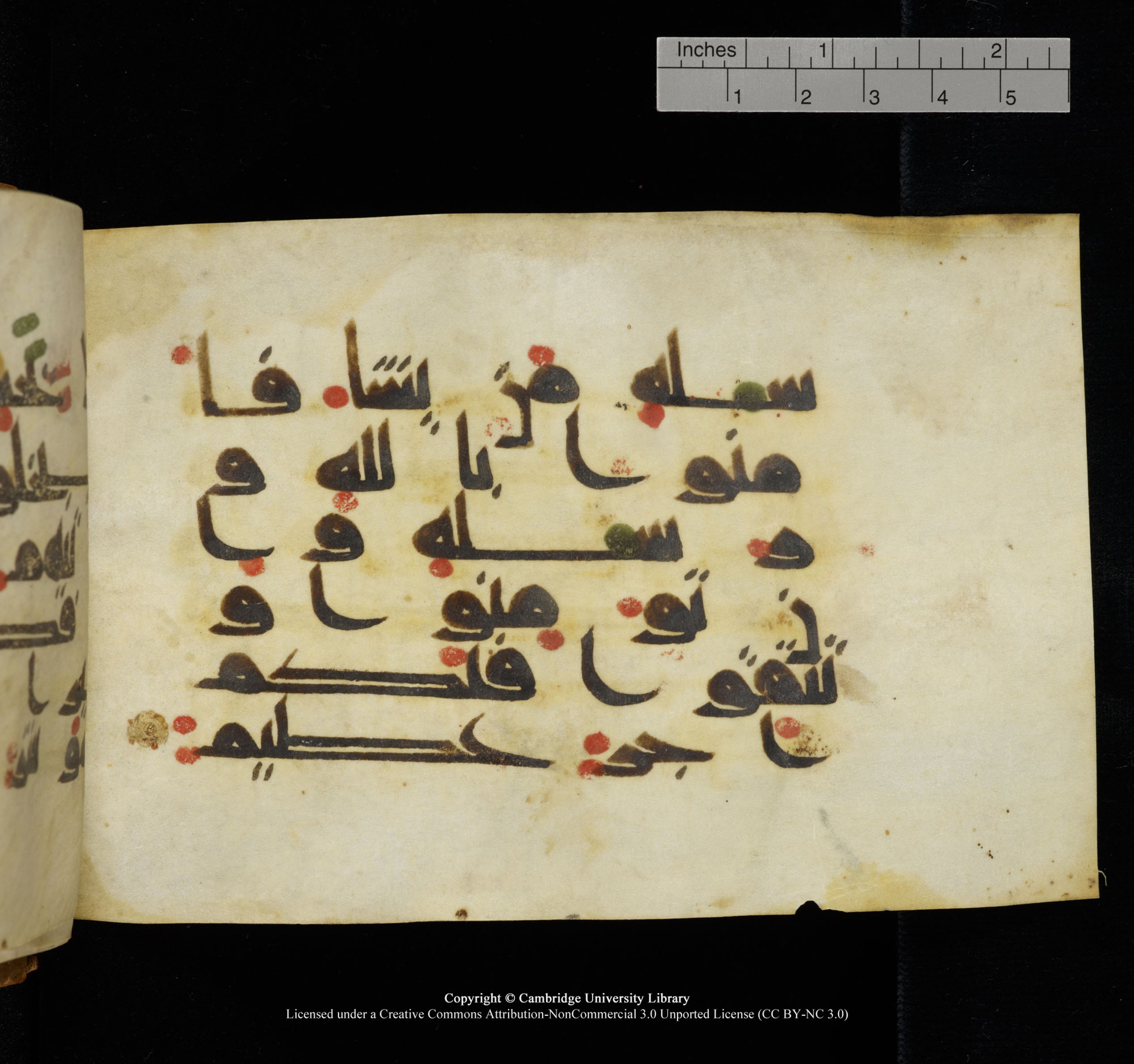 Cambridge, Cambridge University Library, MS Add.1117 (Scan 3), in kūfī D II script, showing Surah 3:179 from 9th or 10th Century AD found in Sinai Peninsula, currently housed at Cambridge University Library, Cambridge