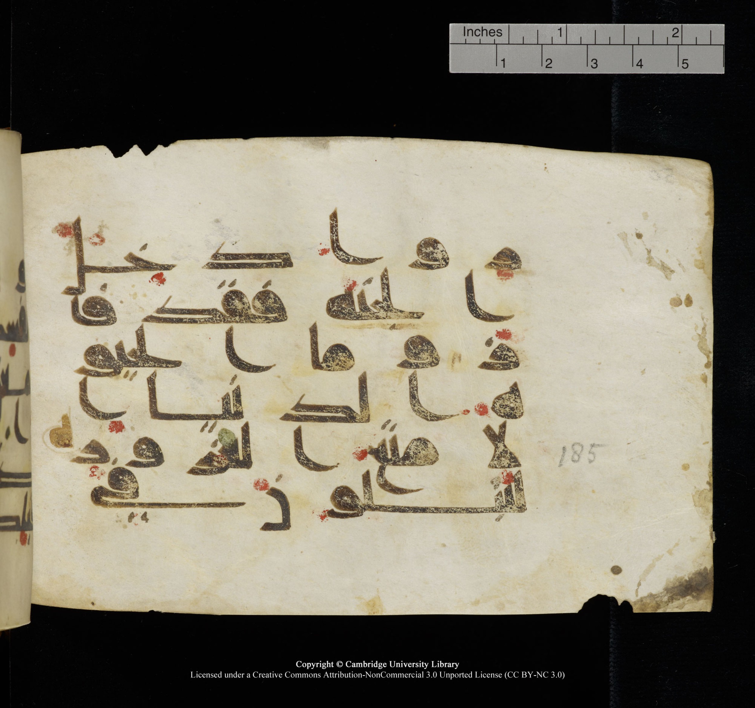 Cambridge, Cambridge University Library, MS Add.1117 (Scan 1), in kūfī D II script, showing Surah 3:186 from 9th or 10th Century AD found in Sinai Peninsula, currently housed at Cambridge University Library, Cambridge