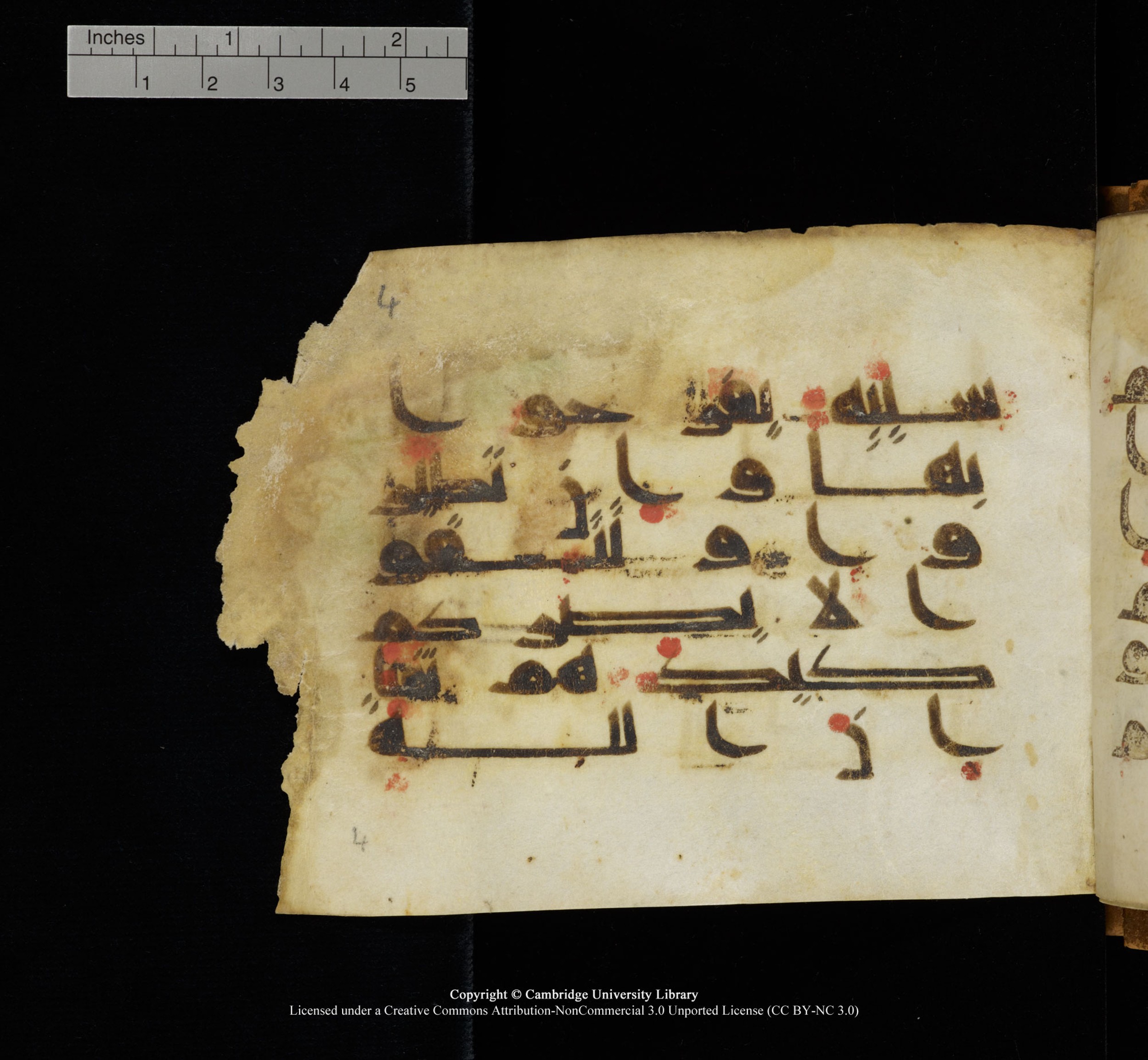 Cambridge, Cambridge University Library, MS Add.1117 (Scan 2), in kūfī D II script, showing Surah 3:120 from 9th or 10th Century AD found in Sinai Peninsula, currently housed at Cambridge University Library, Cambridge