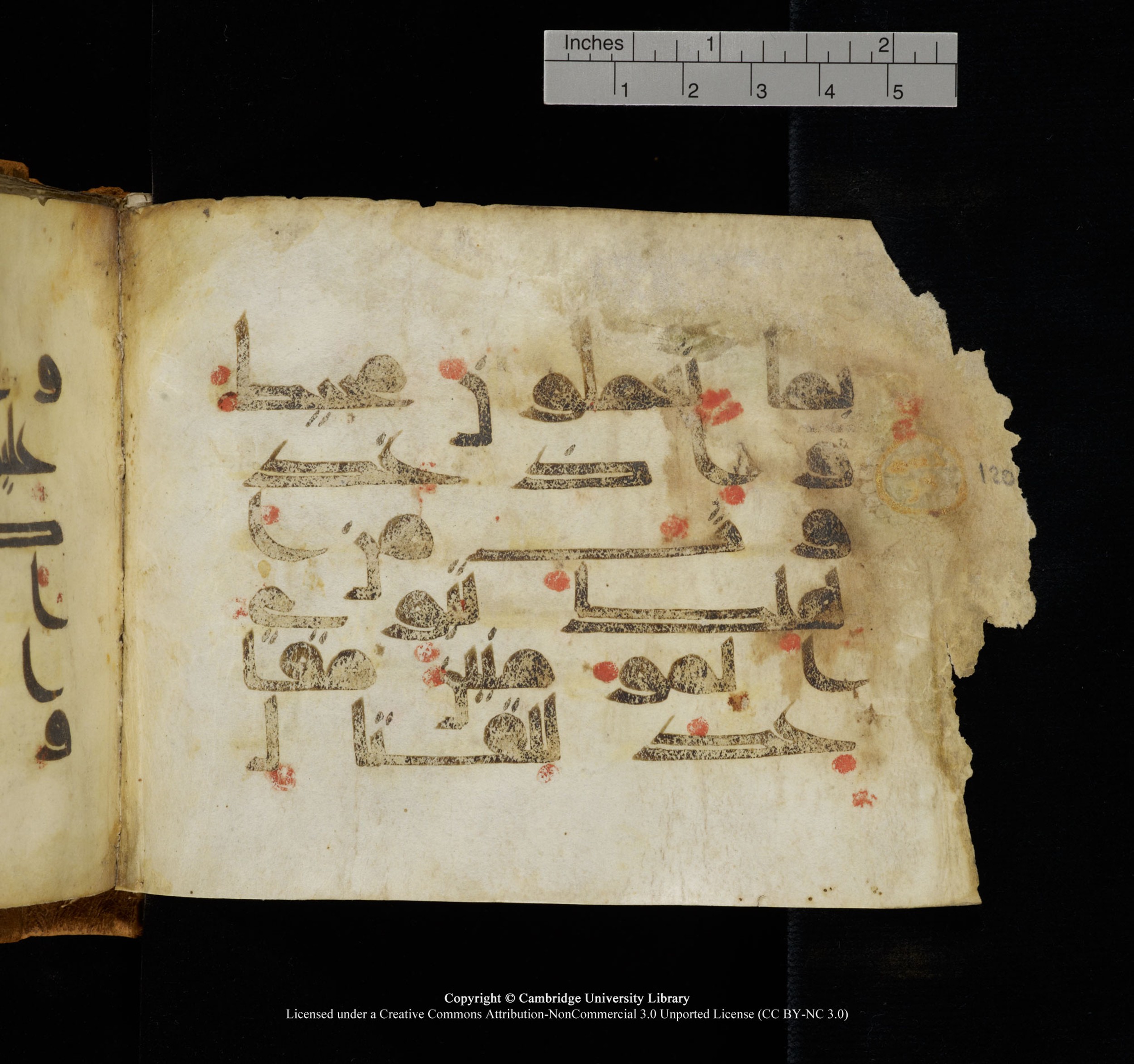 Cambridge, Cambridge University Library, MS Add.1117 (Scan 3), in kūfī D II script, showing Surah 3:120 from 9th or 10th Century AD found in Sinai Peninsula, currently housed at Cambridge University Library, Cambridge