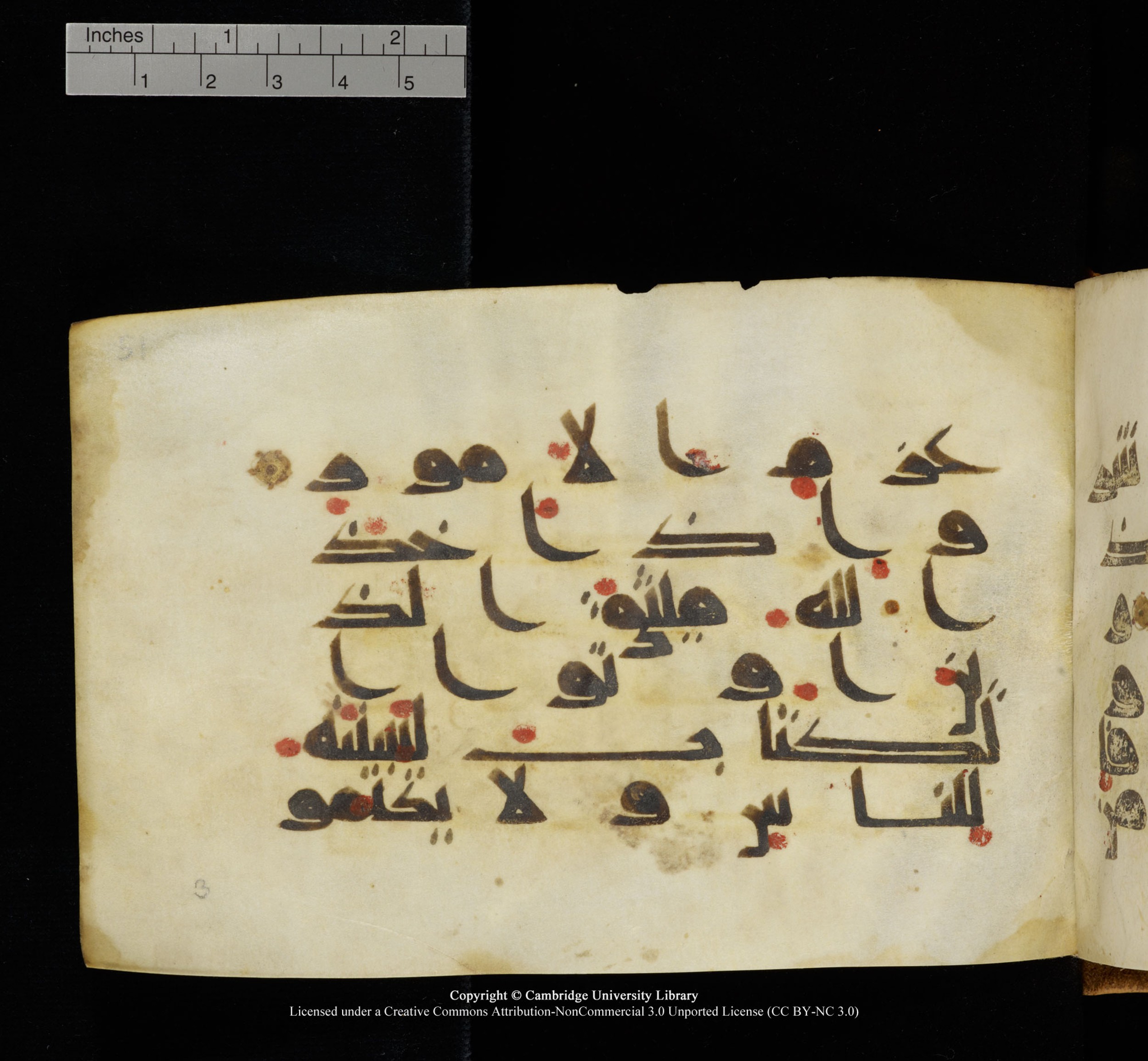 Cambridge, Cambridge University Library, MS Add.1117 (Scan 1), in kūfī D II script, showing Surah 3:187 from 9th or 10th Century AD found in Sinai Peninsula, currently housed at Cambridge University Library, Cambridge