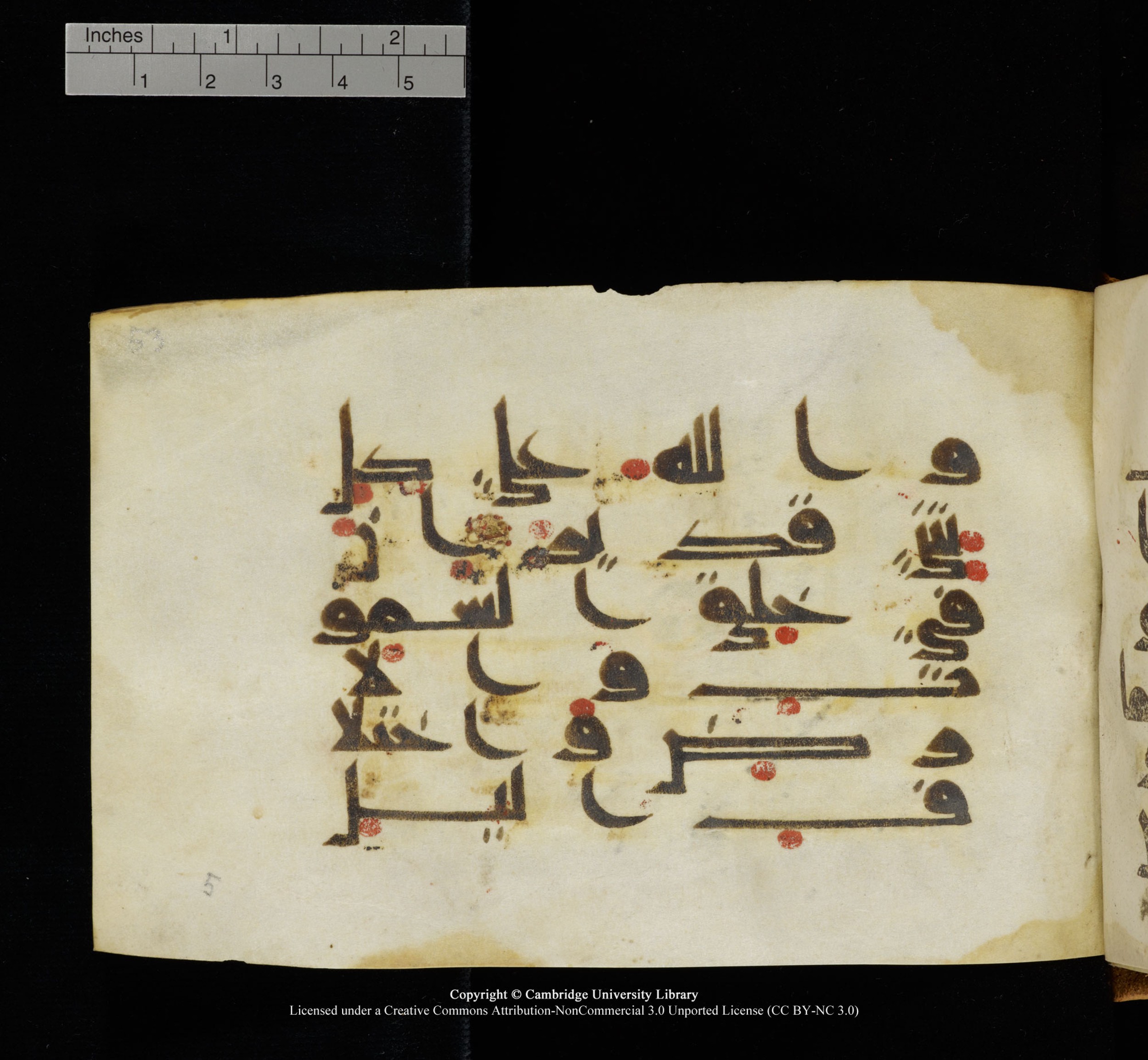 Cambridge, Cambridge University Library, MS Add.1117 (Scan 2), in kūfī D II script, showing Surah 3:189 from 9th or 10th Century AD found in Sinai Peninsula, currently housed at Cambridge University Library, Cambridge