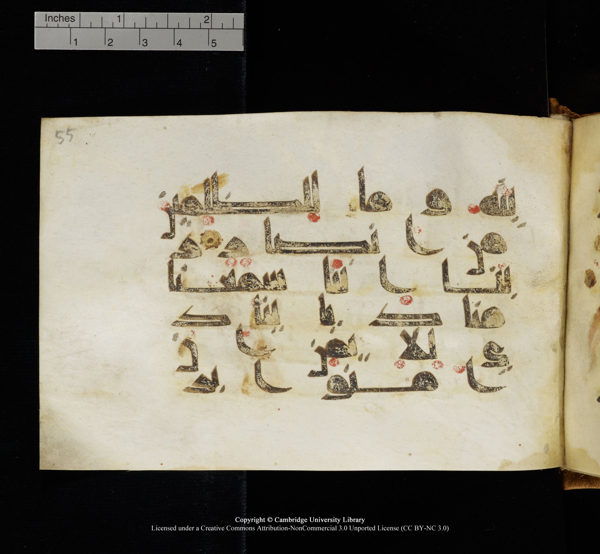 Cambridge, Cambridge University Library, MS Add.1117 (Scan 2), in kūfī D II script, showing Surah 3:192 from 9th or 10th Century AD found in Sinai Peninsula, currently housed at Cambridge University Library, Cambridge
