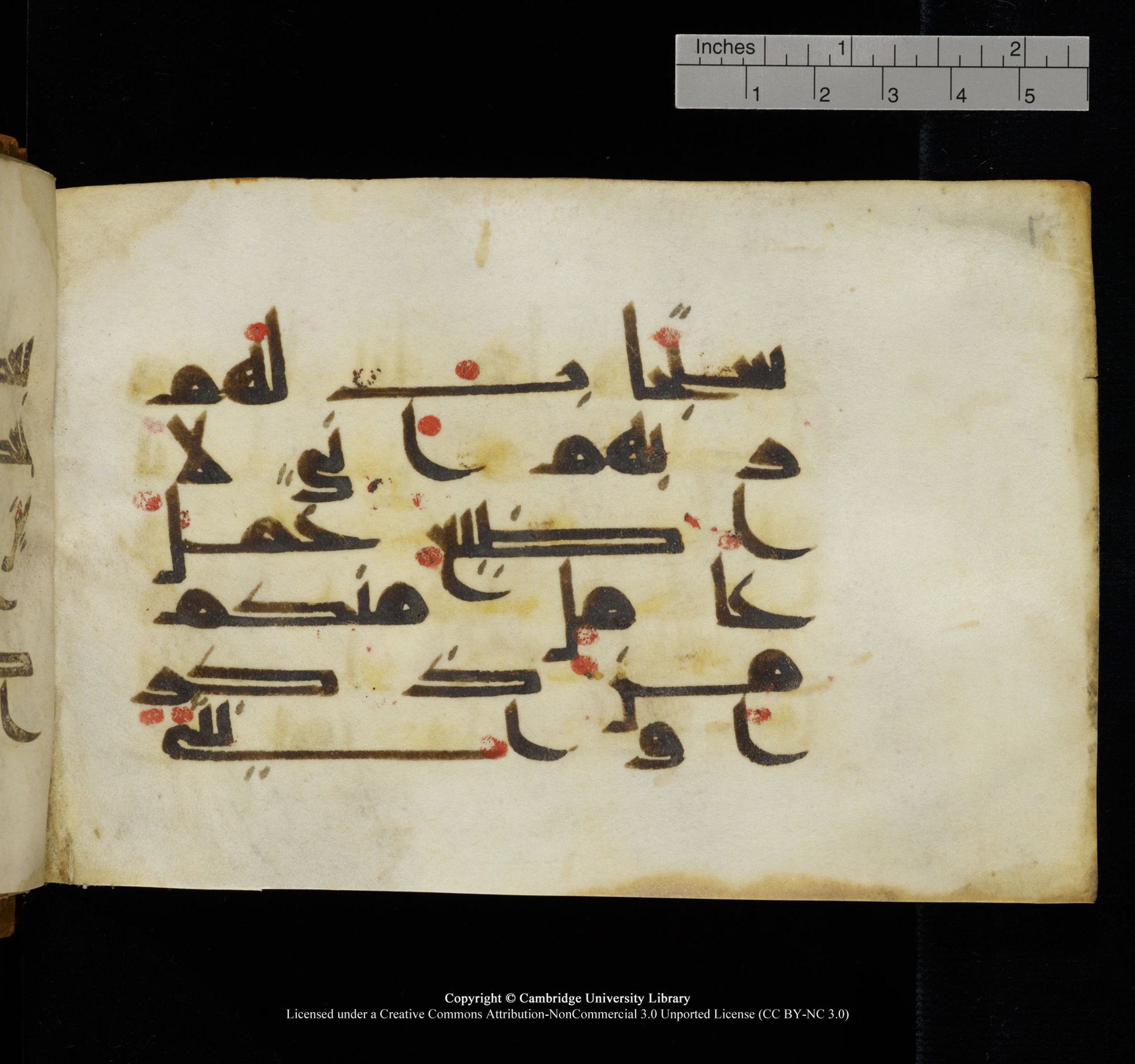 Cambridge, Cambridge University Library, MS Add.1117 (Scan 2), in kūfī D II script, showing Surah 3:195 from 9th or 10th Century AD found in Sinai Peninsula, currently housed at Cambridge University Library, Cambridge