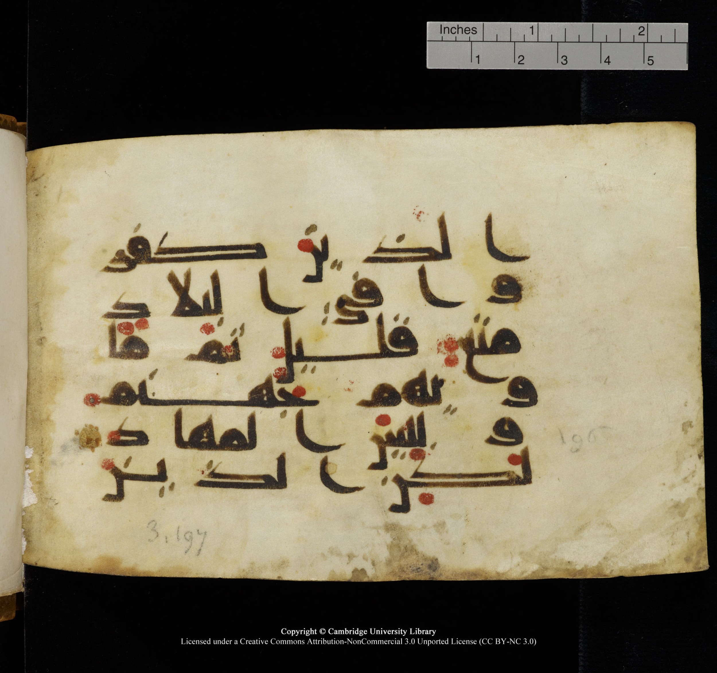 Cambridge, Cambridge University Library, MS Add.1117, in kūfī D II script, showing Surah 3:198 from 9th or 10th Century AD found in Sinai Peninsula, currently housed at Cambridge University Library, Cambridge