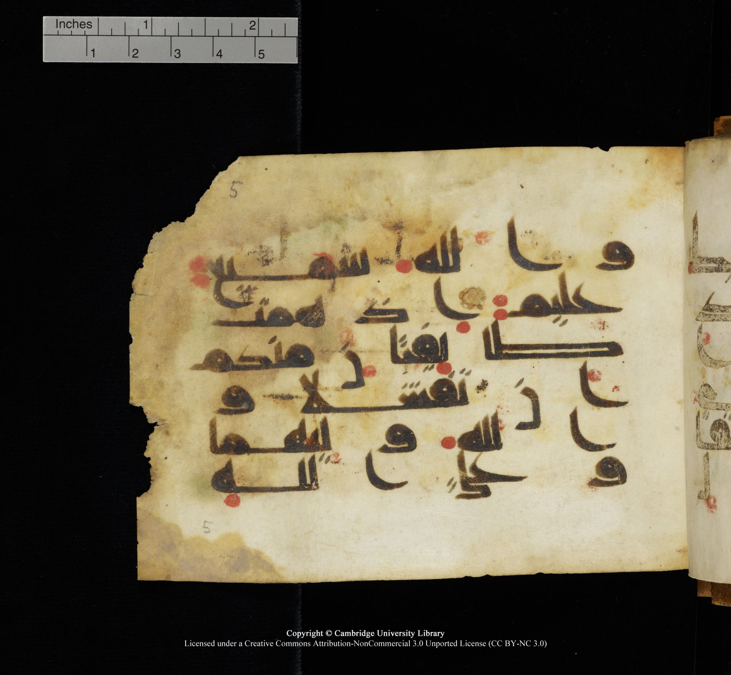Cambridge, Cambridge University Library, MS Add.1117 (Scan 1), in kūfī D II script, showing Surah 3:122 from 9th or 10th Century AD found in Sinai Peninsula, currently housed at Cambridge University Library, Cambridge