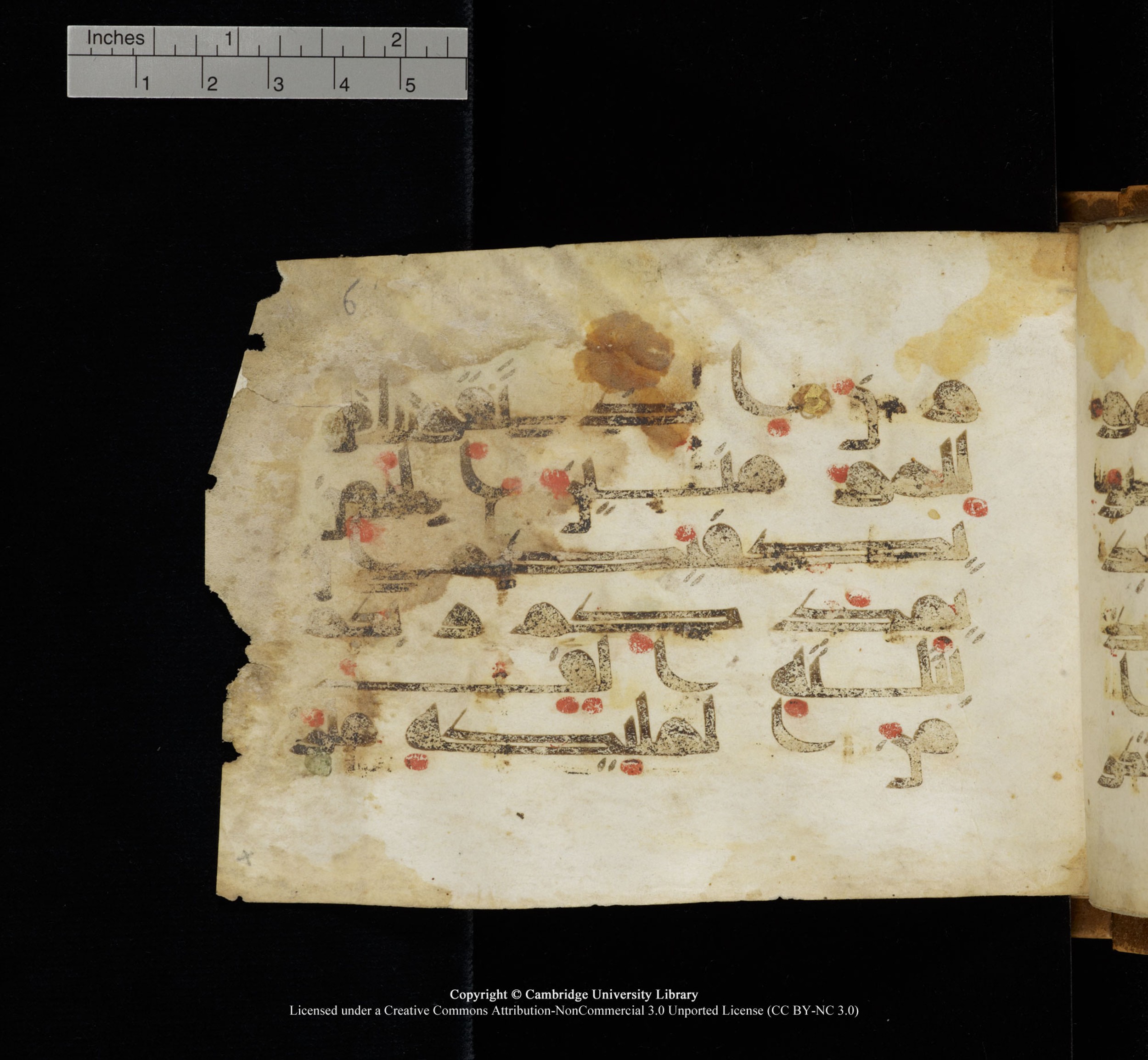 Cambridge, Cambridge University Library, MS Add.1117 (Scan 1), in kūfī D II script, showing Surah 3:124 from 9th or 10th Century AD found in Sinai Peninsula, currently housed at Cambridge University Library, Cambridge