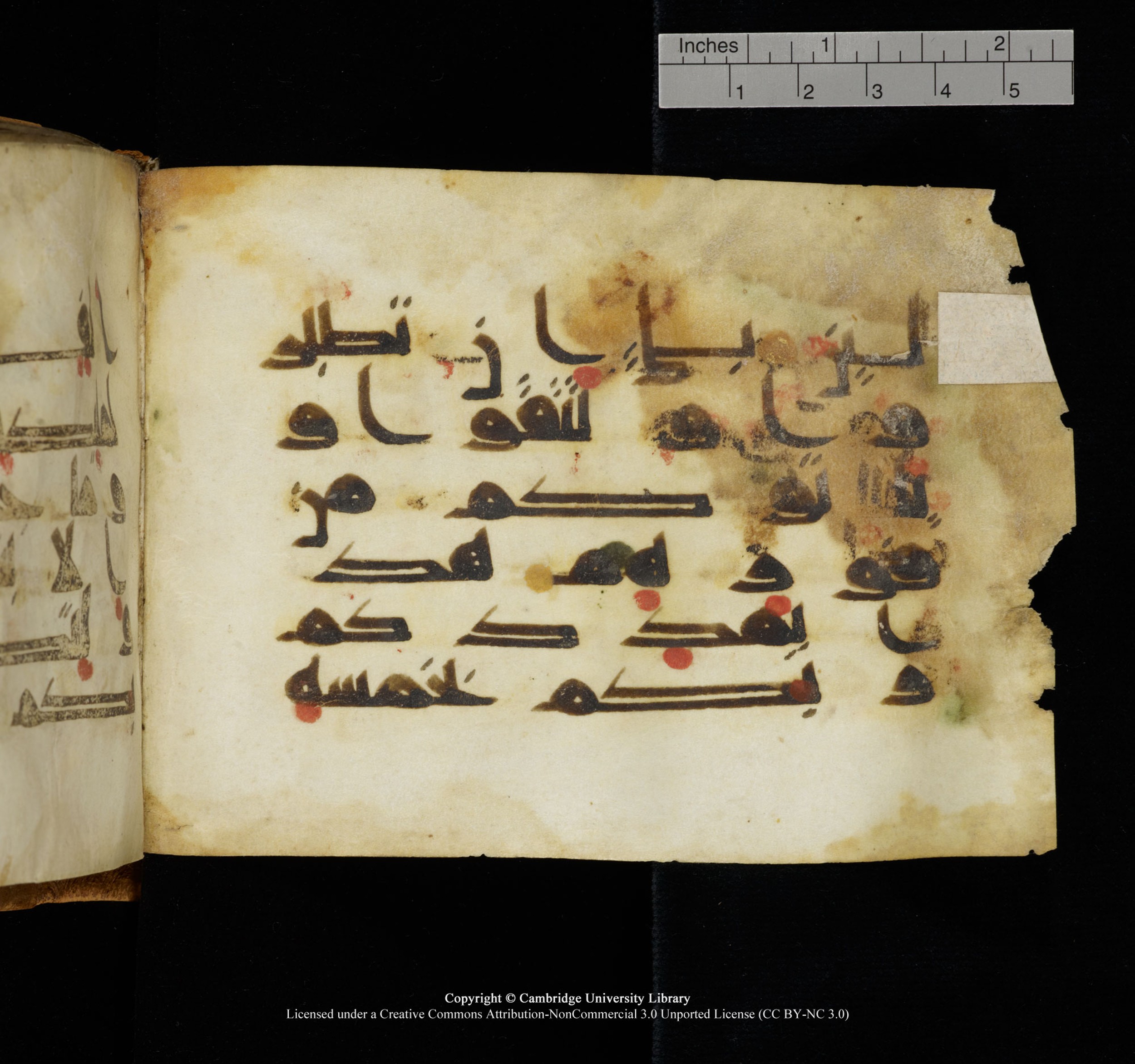 Cambridge, Cambridge University Library, MS Add.1117 (Scan 2), in kūfī D II script, showing Surah 3:124 from 9th or 10th Century AD found in Sinai Peninsula, currently housed at Cambridge University Library, Cambridge