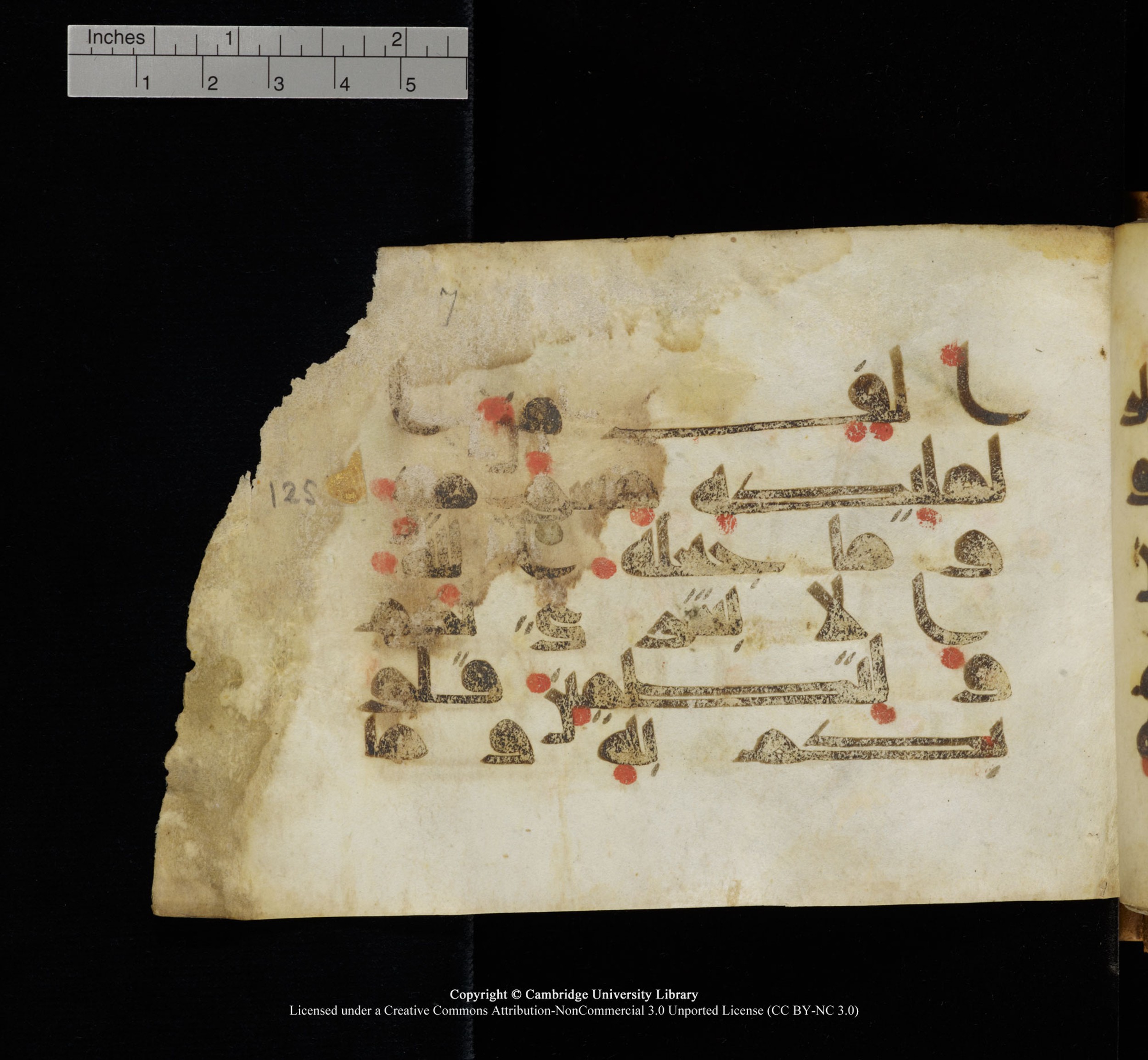 Cambridge, Cambridge University Library, MS Add.1117 (Scan 1), in kūfī D II script, showing Surah 3:126 from 9th or 10th Century AD found in Sinai Peninsula, currently housed at Cambridge University Library, Cambridge