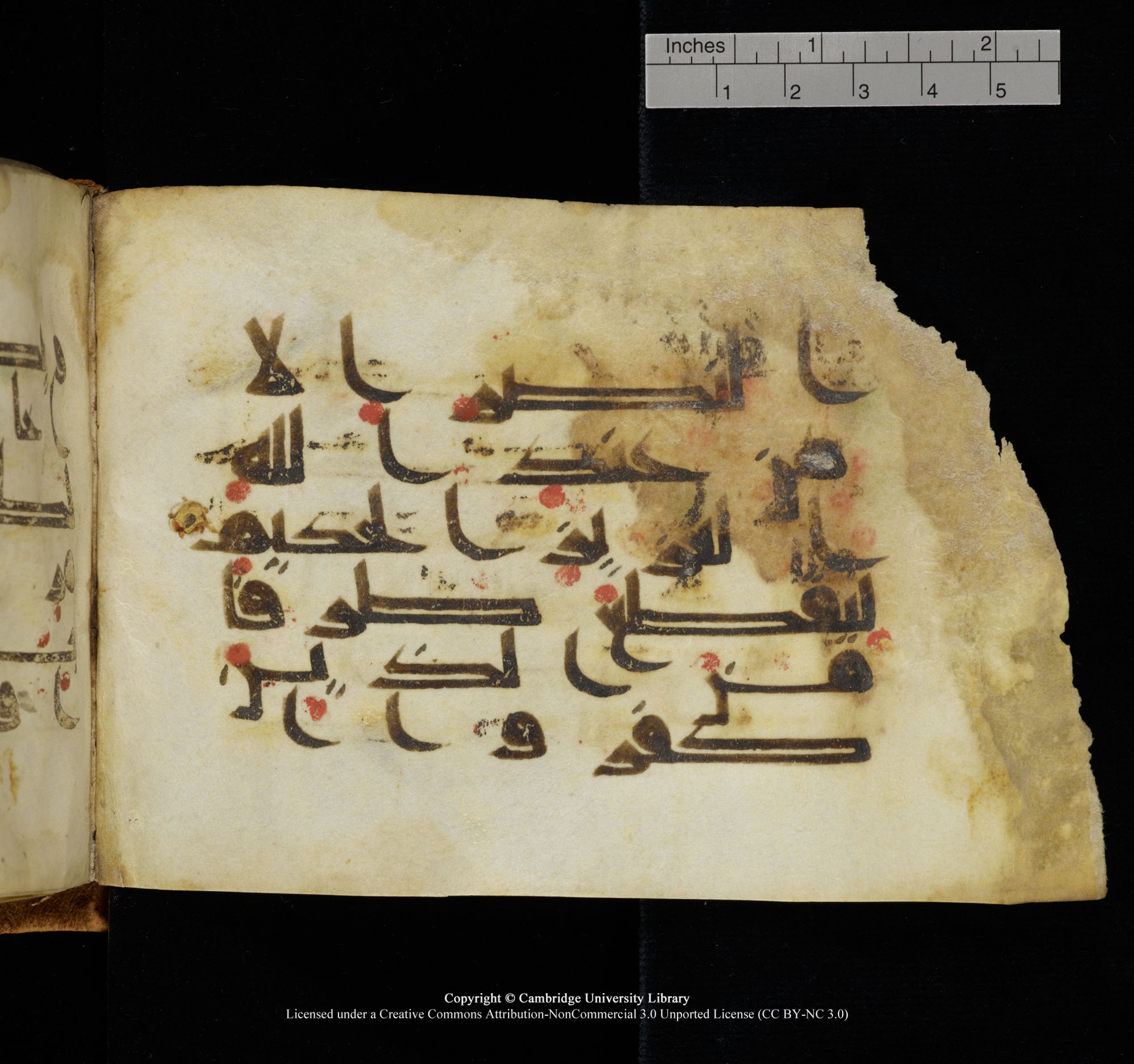 Cambridge, Cambridge University Library, MS Add.1117 (Scan 2), in kūfī D II script, showing Surah 3:126 from 9th or 10th Century AD found in Sinai Peninsula, currently housed at Cambridge University Library, Cambridge