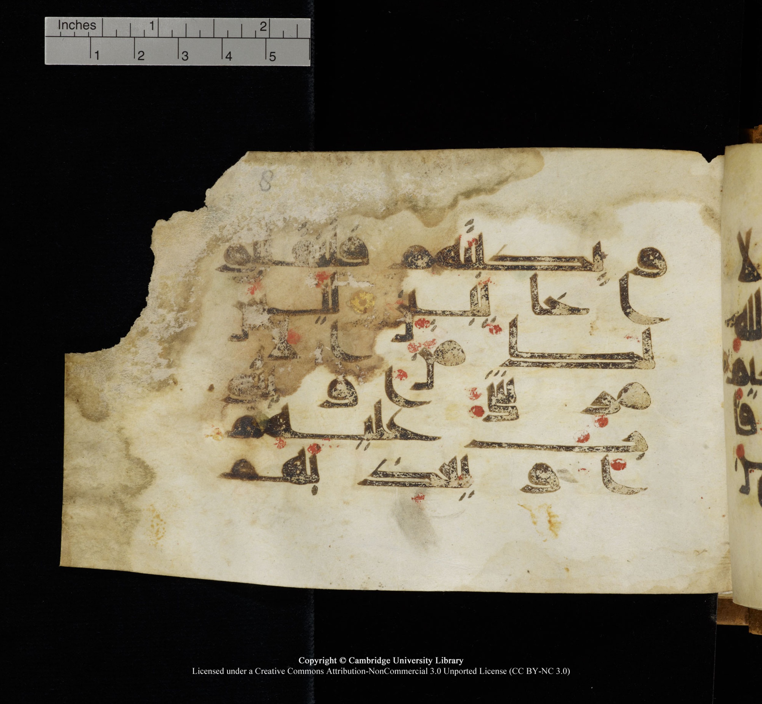 Cambridge, Cambridge University Library, MS Add.1117 (Scan 1), in kūfī D II script, showing Surah 3:128 from 9th or 10th Century AD found in Sinai Peninsula, currently housed at Cambridge University Library, Cambridge