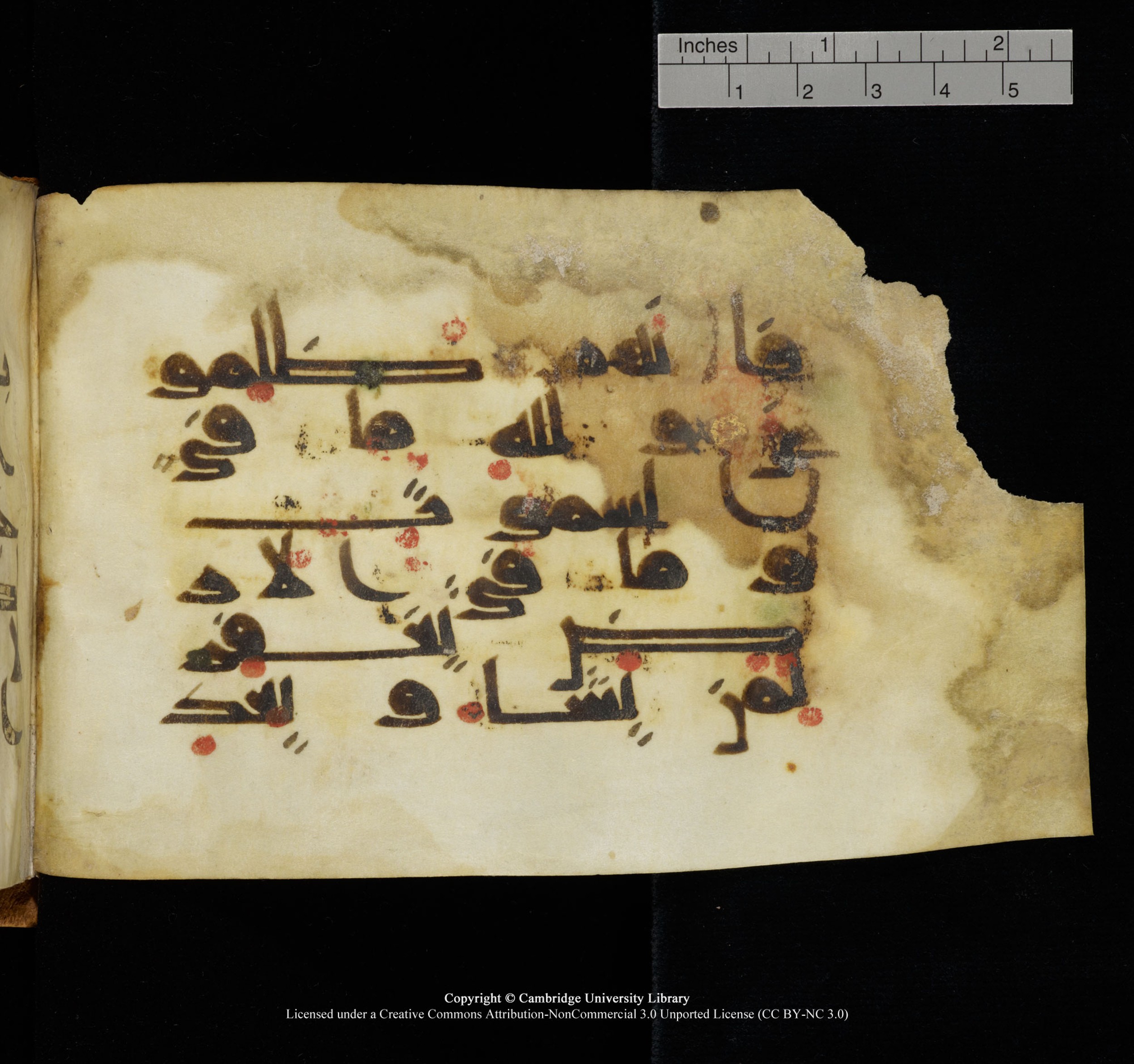 Cambridge, Cambridge University Library, MS Add.1117 (Scan 1), in kūfī D II script, showing Surah 3:129 from 9th or 10th Century AD found in Sinai Peninsula, currently housed at Cambridge University Library, Cambridge