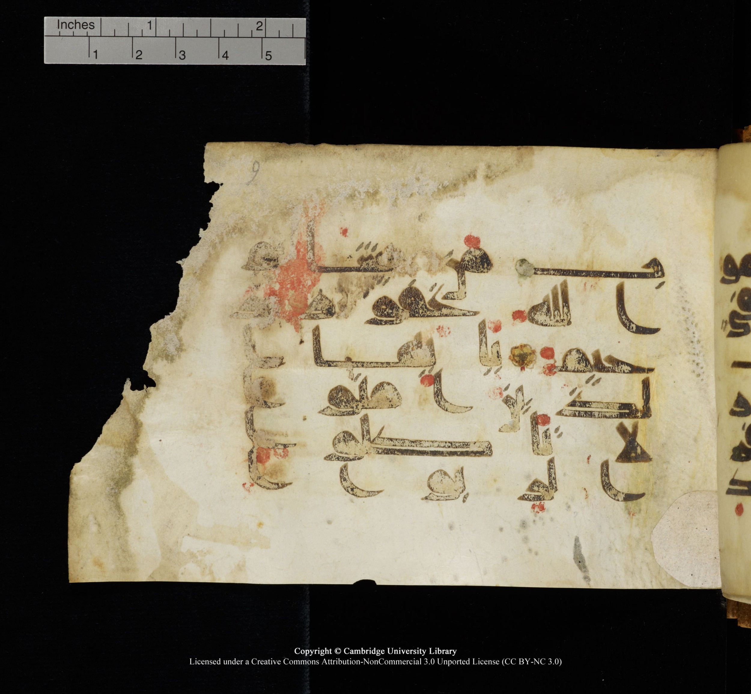 Cambridge, Cambridge University Library, MS Add.1117 (Scan 2), in kūfī D II script, showing Surah 3:129 from 9th or 10th Century AD found in Sinai Peninsula, currently housed at Cambridge University Library, Cambridge