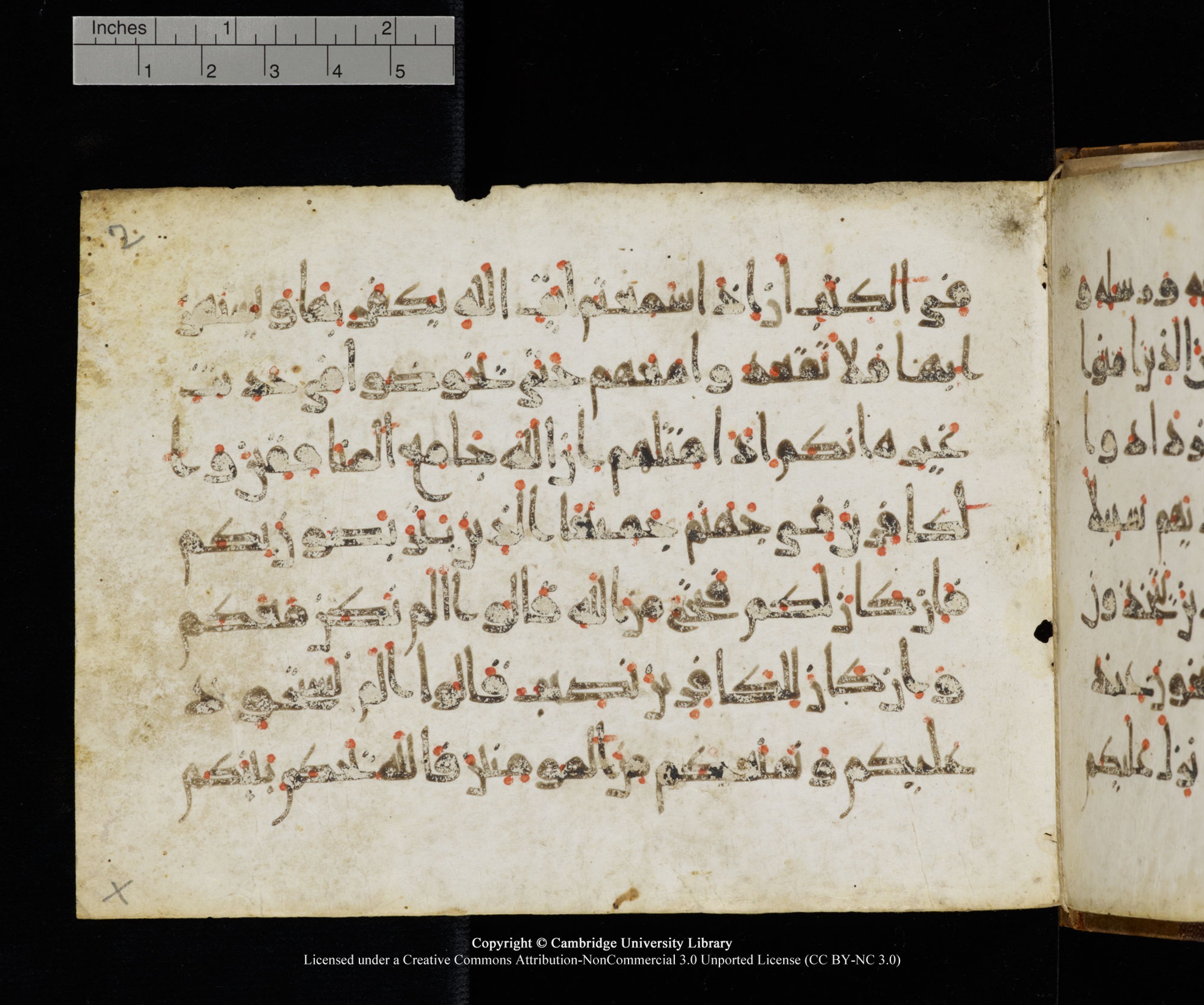 Cambridge MS Add.1119 (Scan 1), in Abbasid New Style script, showing Surah 4:141 from 9th or 10th Century AD found in Sinai Peninsula, currently housed at Cambridge University Library, Cambridge