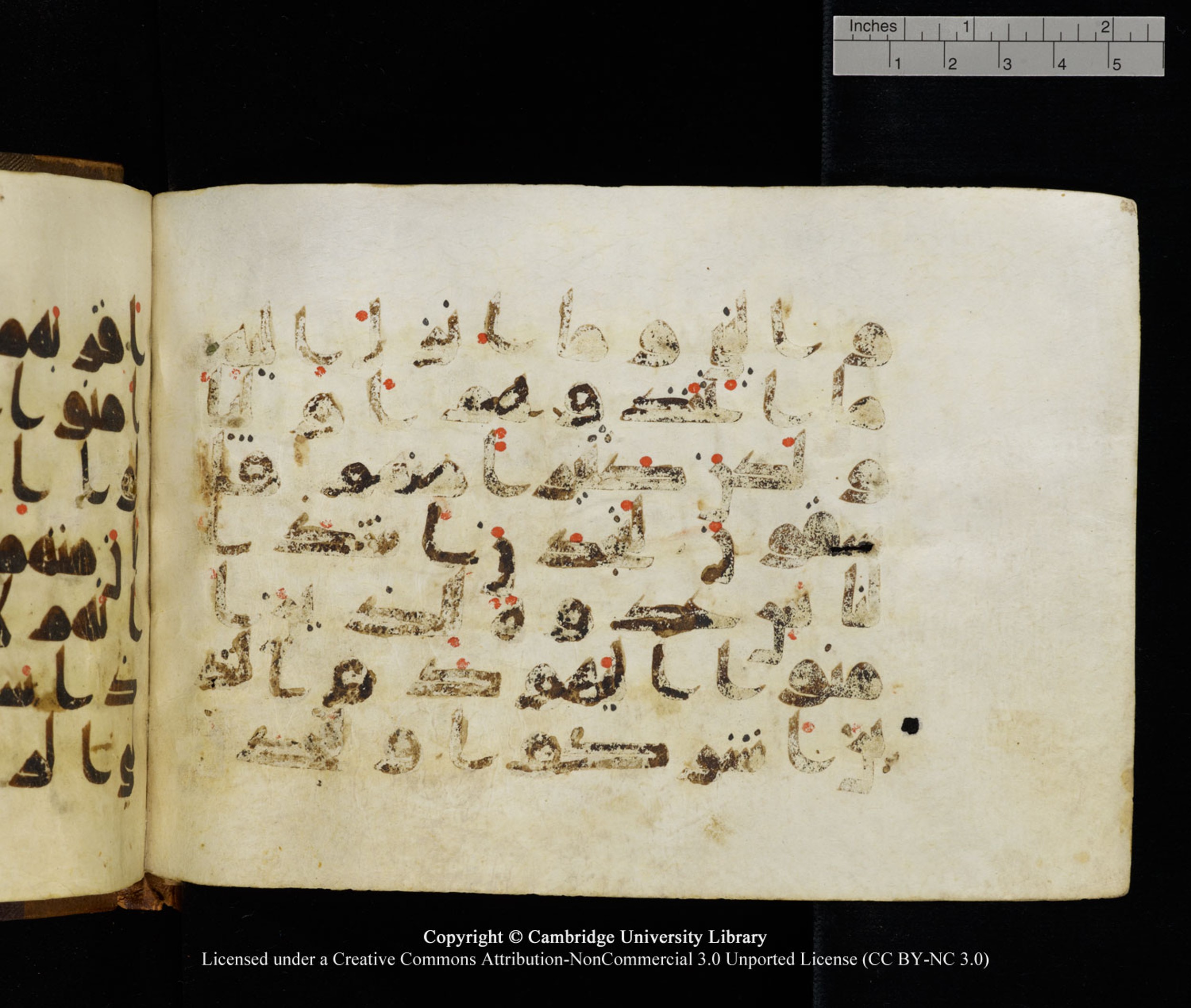 Cambridge University Library MS Add.1120 (Scan 2), in kūfī D.IV script, showing Surah 5:81 from 9th or 10th Century AD found in Sinai Peninsula, Egypt, currently housed at Cambridge University Library, Cambridge, UK