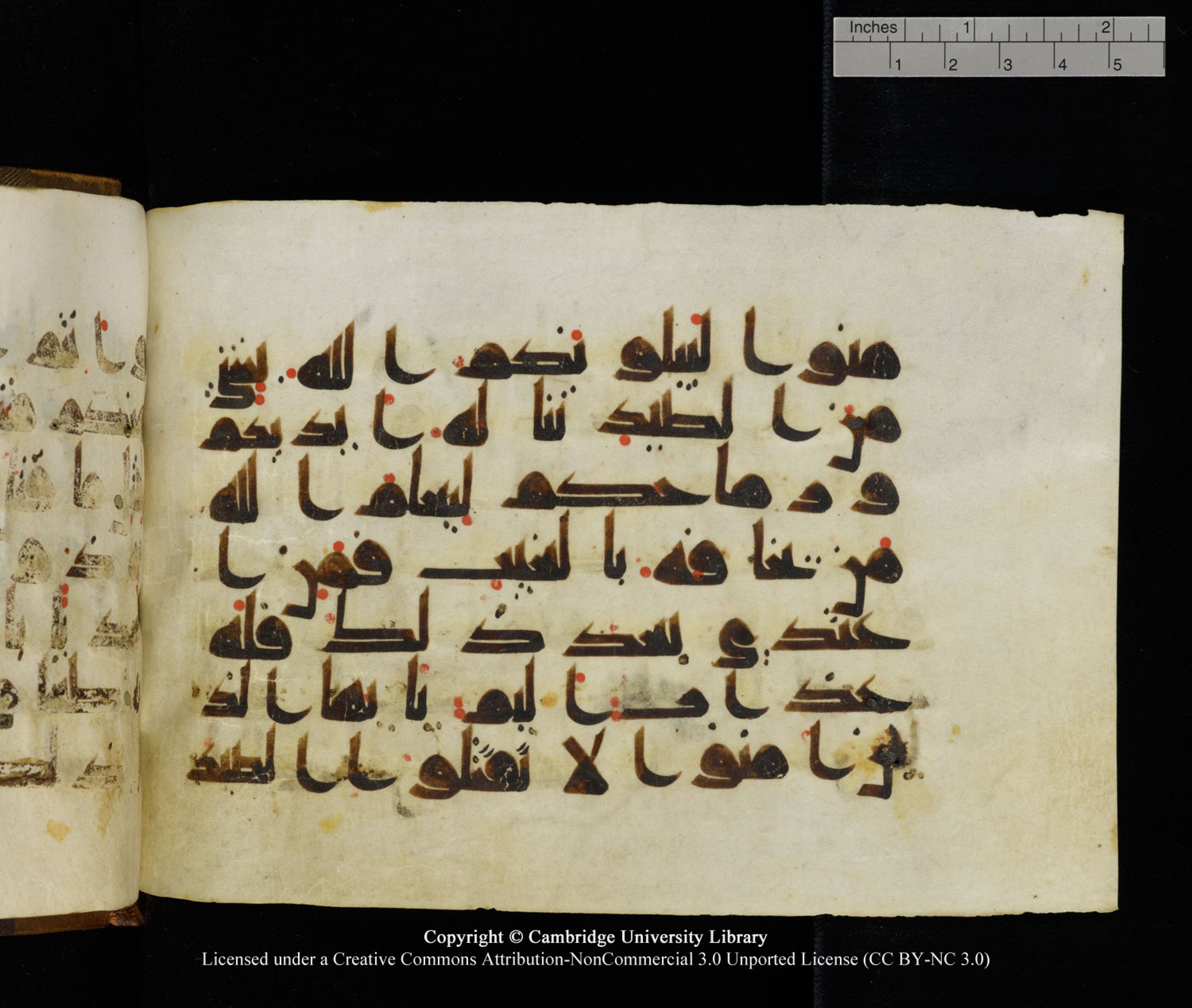 Cambridge University Library MS Add.1120 (Scan 1), in kūfī D.IV script, showing Surah 5:95 from 9th or 10th Century AD found in Sinai Peninsula, Egypt, currently housed at Cambridge University Library, Cambridge, UK