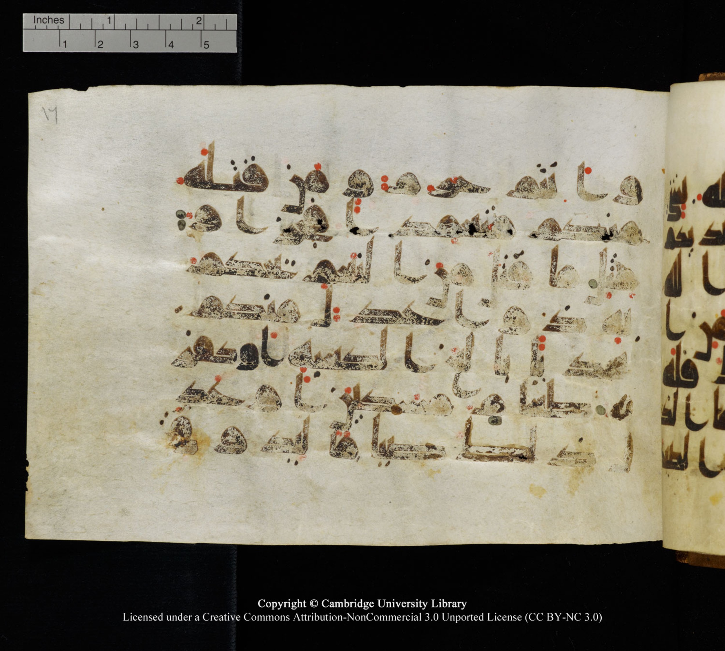 Cambridge University Library MS Add.1120 (Scan 2), in kūfī D.IV script, showing Surah 5:95 from 9th or 10th Century AD found in Sinai Peninsula, Egypt, currently housed at Cambridge University Library, Cambridge, UK