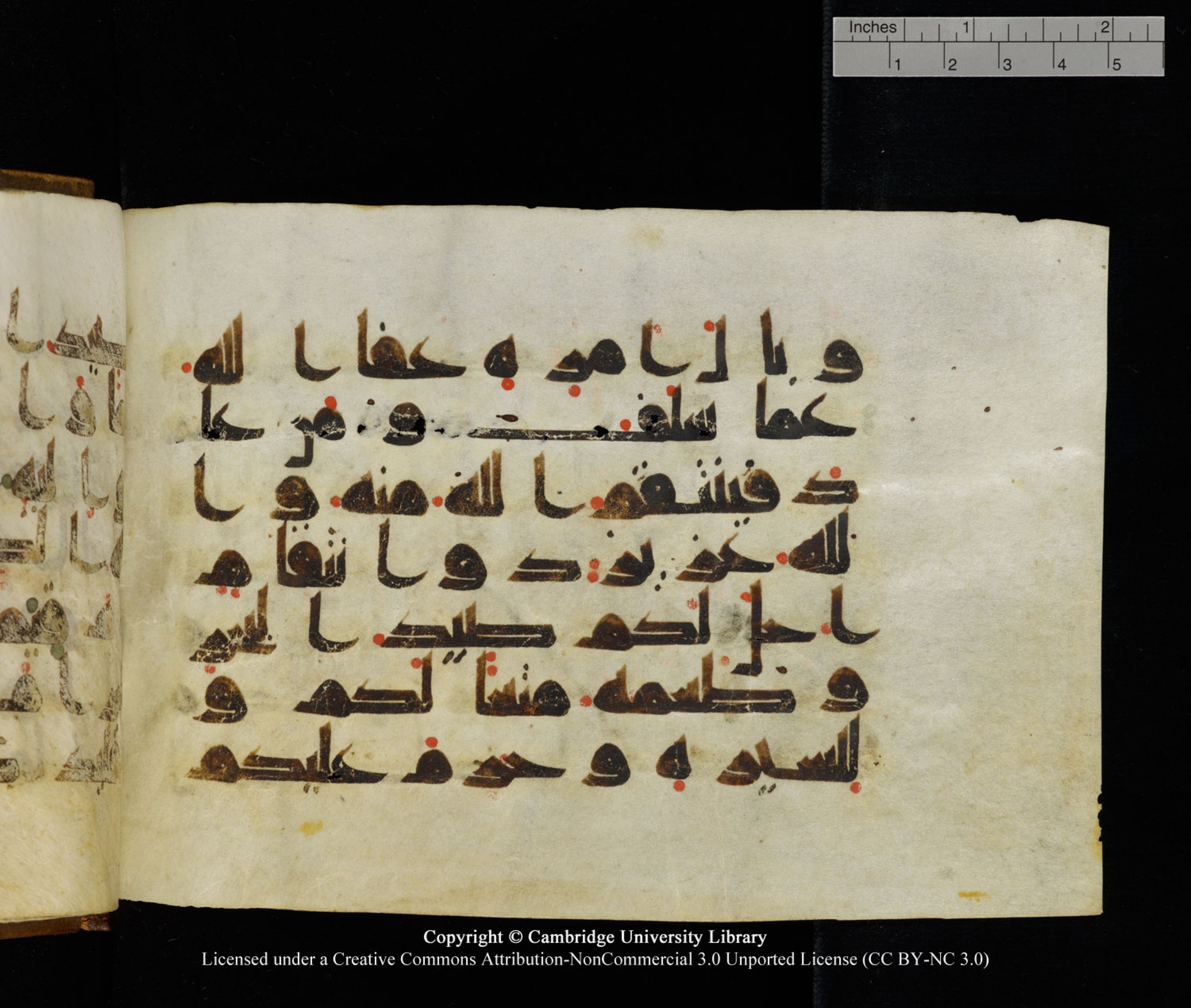Cambridge University Library MS Add.1120 (Scan 3), in kūfī D.IV script, showing Surah 5:95 from 9th or 10th Century AD found in Sinai Peninsula, Egypt, currently housed at Cambridge University Library, Cambridge, UK