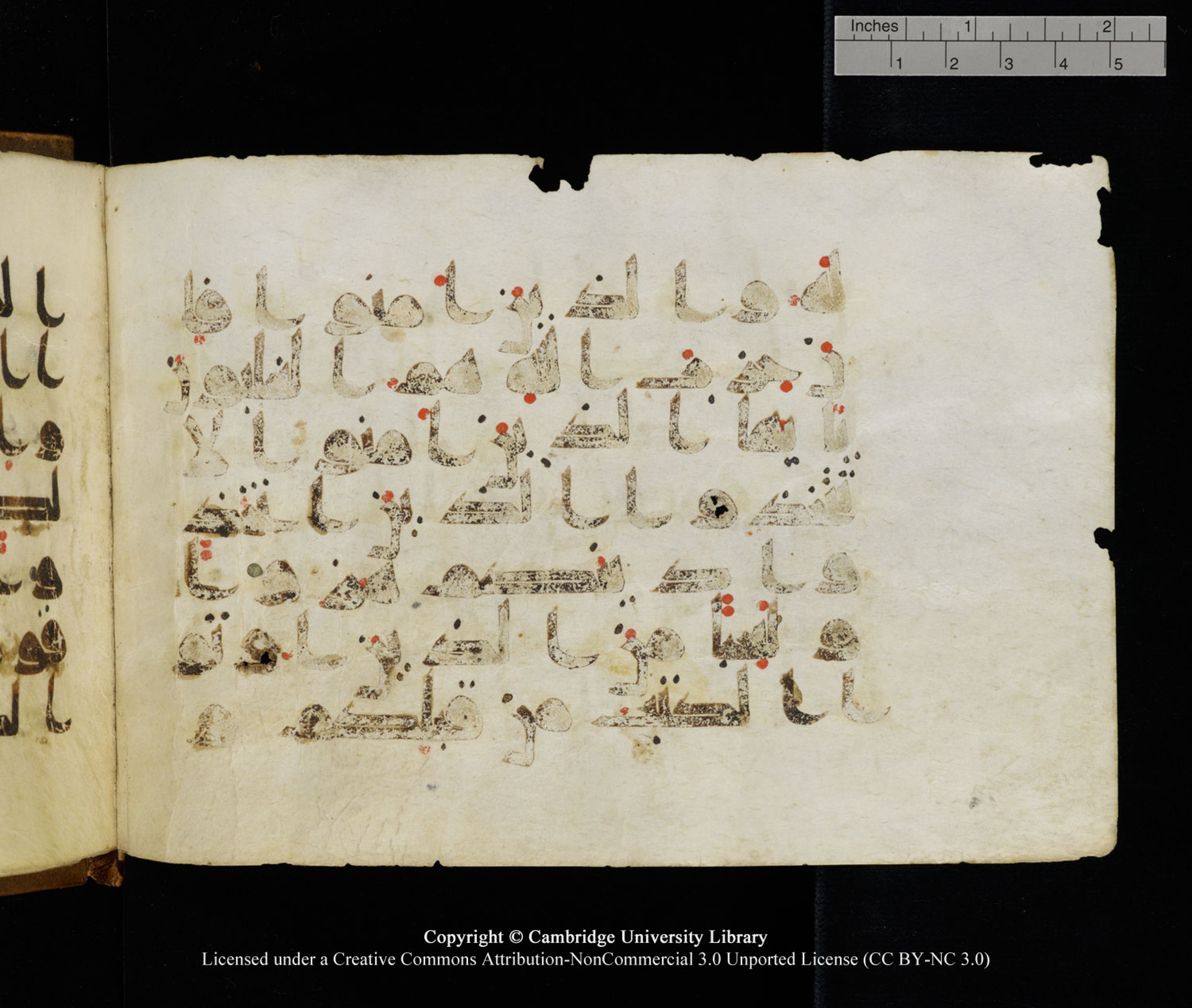 Cambridge University Library MS Add.1120 (Scan 2), in kūfī D.IV script, showing Surah 5:56 from 9th or 10th Century AD found in Sinai Peninsula, Egypt, currently housed at Cambridge University Library, Cambridge, UK
