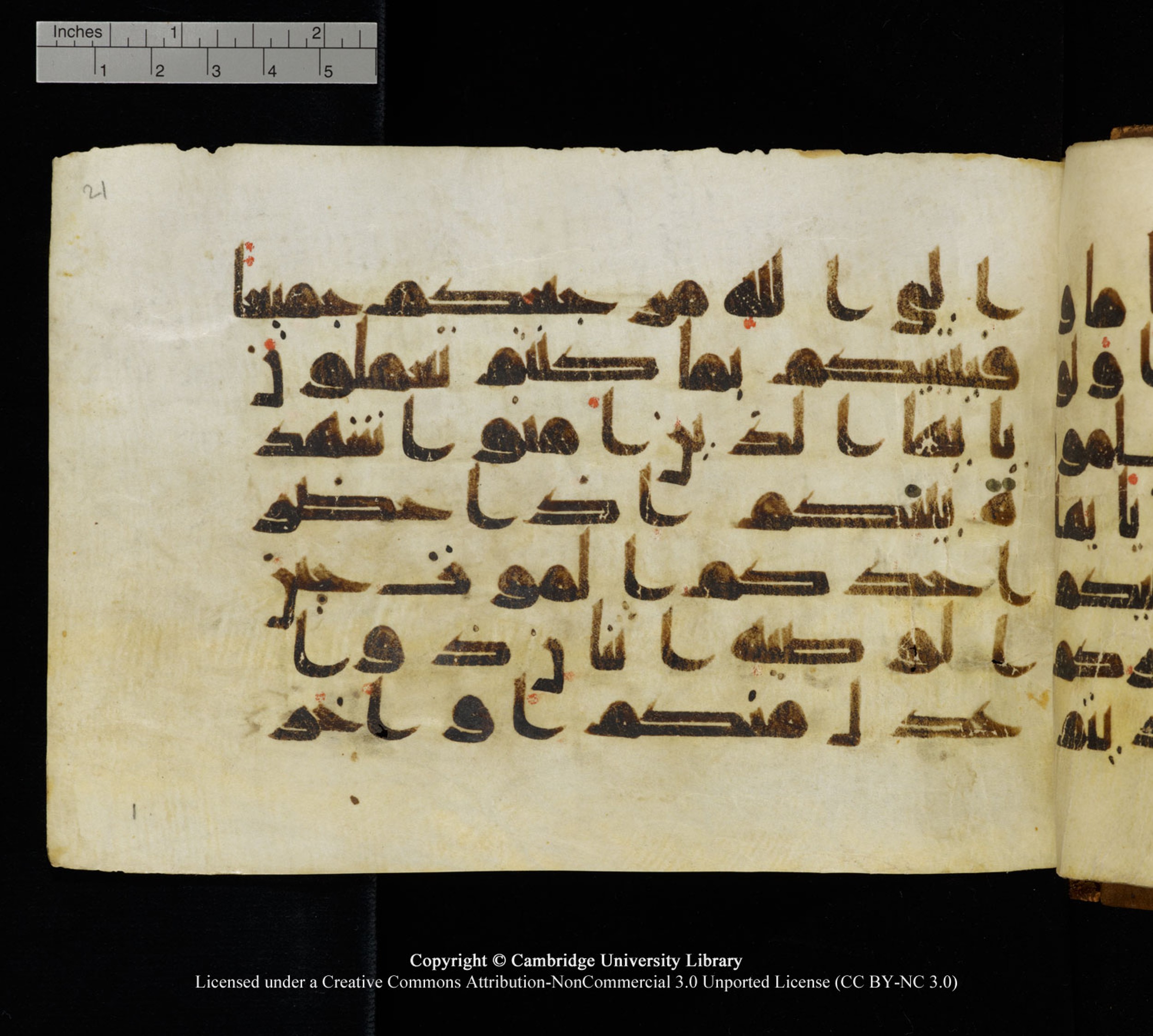 Cambridge University Library MS Add.1120 (Scan 1), in kūfī D.IV script, showing Surah 5:106 from 9th or 10th Century AD found in Sinai Peninsula, Egypt, currently housed at Cambridge University Library, Cambridge, UK