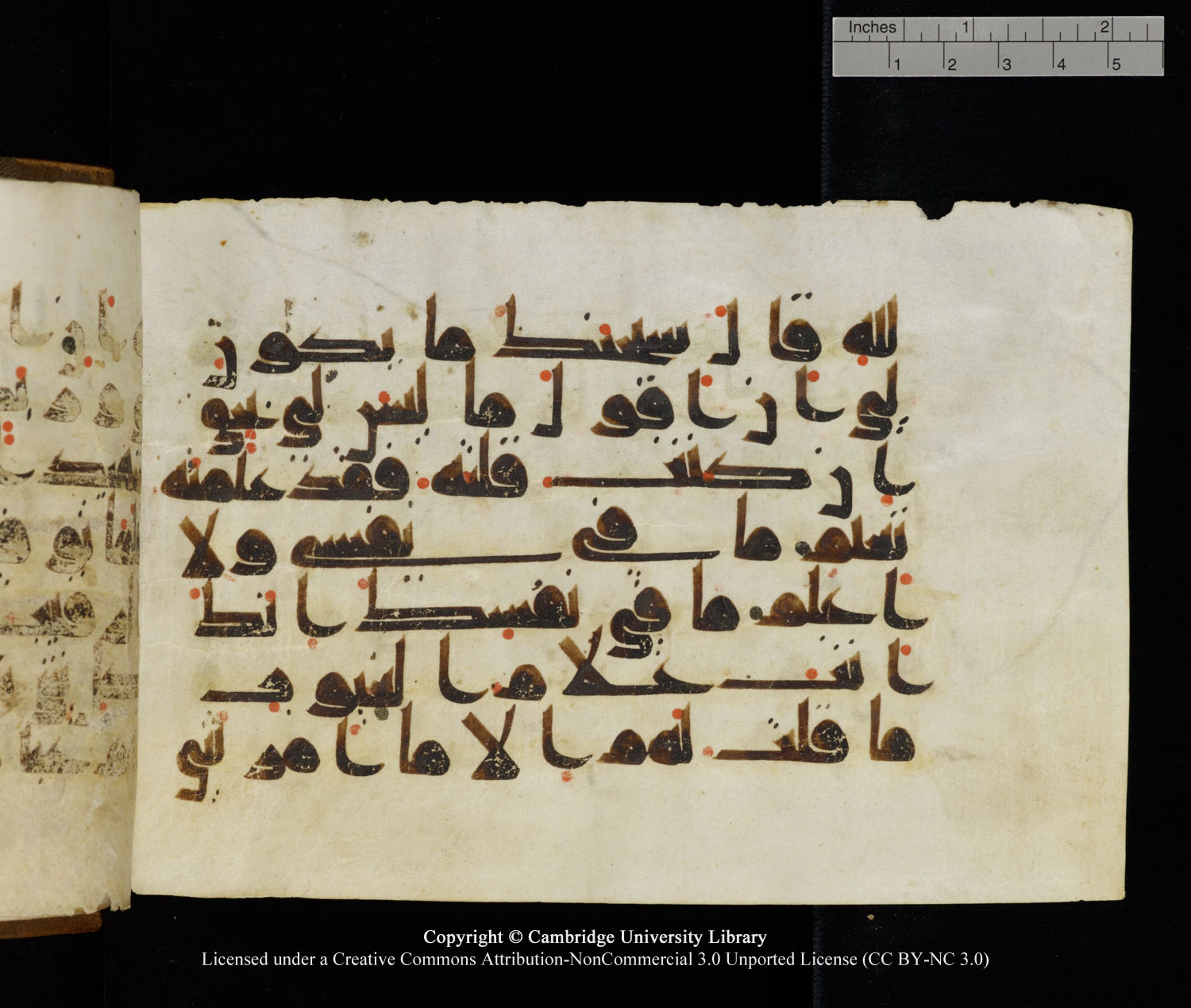 Cambridge University Library MS Add.1120 (Scan 2), in kūfī D.IV script, showing Surah 5:116 from 9th or 10th Century AD found in Sinai Peninsula, Egypt, currently housed at Cambridge University Library, Cambridge, UK