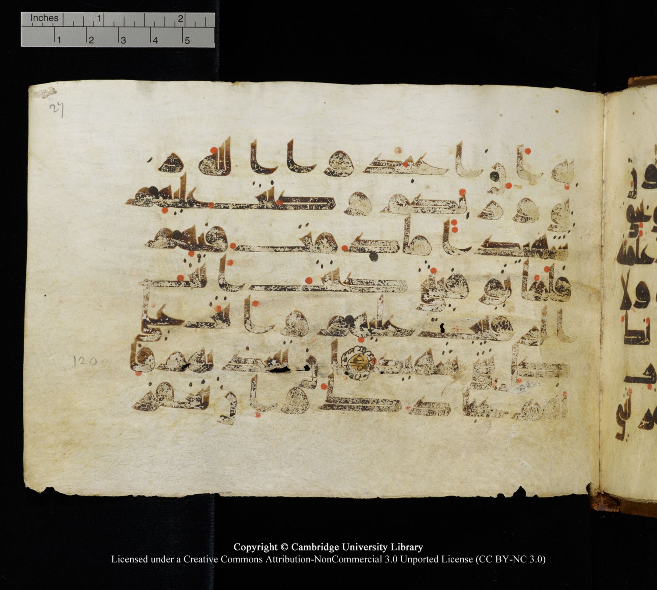 Cambridge University Library MS Add.1120 (Scan 2), in kūfī D.IV script, showing Surah 5:117 from 9th or 10th Century AD found in Sinai Peninsula, Egypt, currently housed at Cambridge University Library, Cambridge, UK