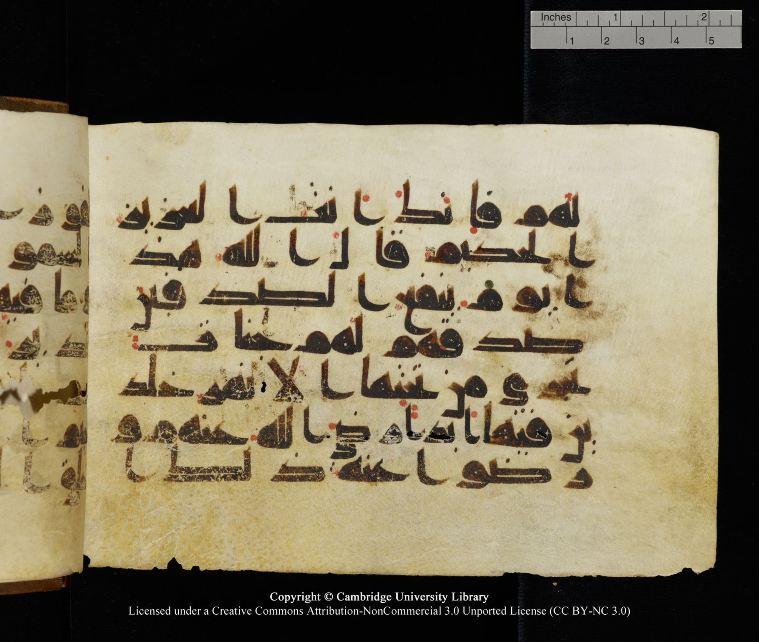 Cambridge University Library MS Add.1120 (Scan 1), in kūfī D.IV script, showing Surah 5:119 from 9th or 10th Century AD found in Sinai Peninsula, Egypt, currently housed at Cambridge University Library, Cambridge, UK