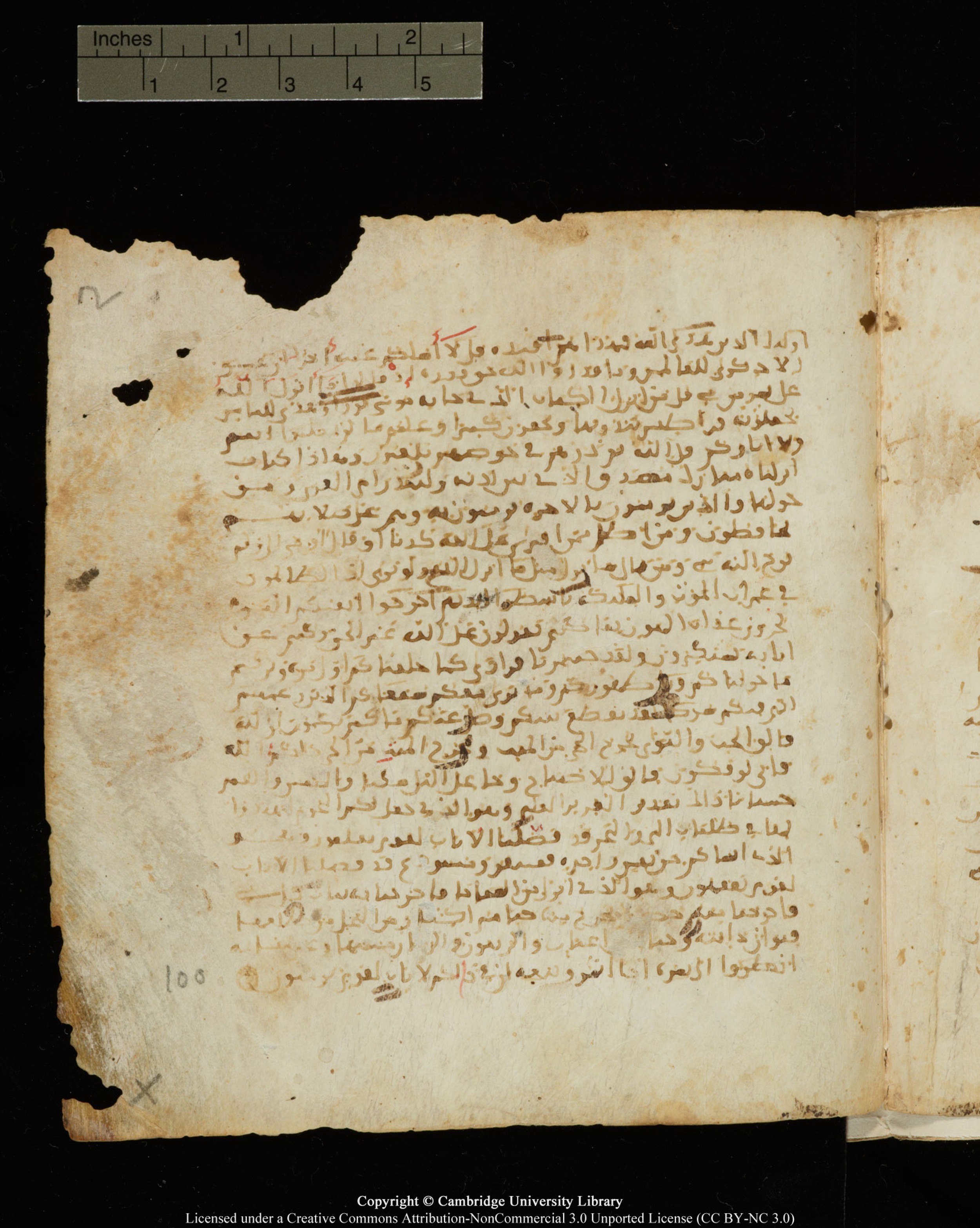 Cambridge, Cambridge University Library, MS Add.1121, in Maġribī micrography script, showing Surah 6:91 from Late 11th or 12th Century AD found in Sinai Peninsula, Egypt, currently housed at Cambridge University Library, Cambridge