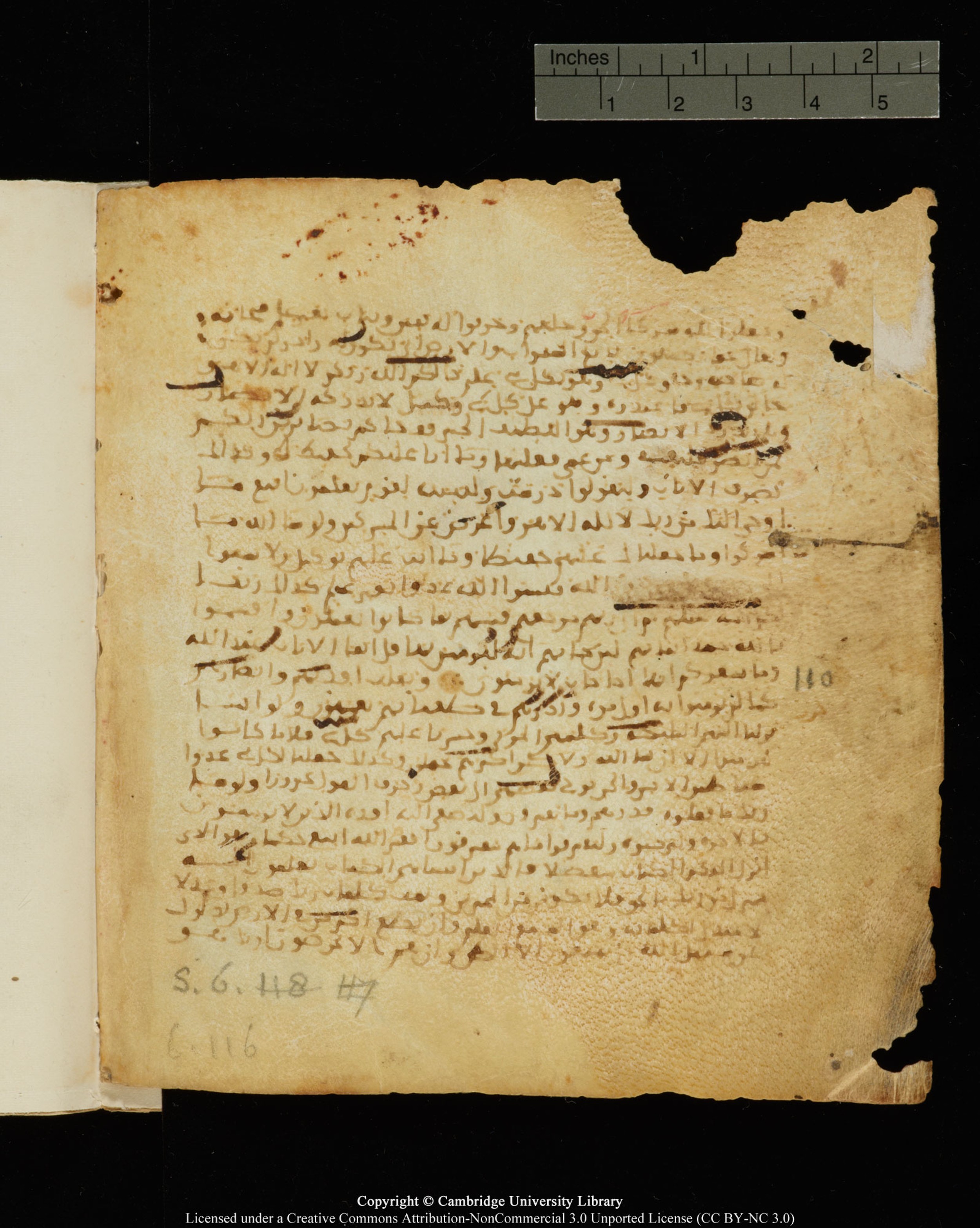 Cambridge, Cambridge University Library, MS Add.1121, in Maġribī micrography script, showing Surah 6:116 from Late 11th or 12th Century AD found in Sinai Peninsula, Egypt, currently housed at Cambridge University Library, Cambridge