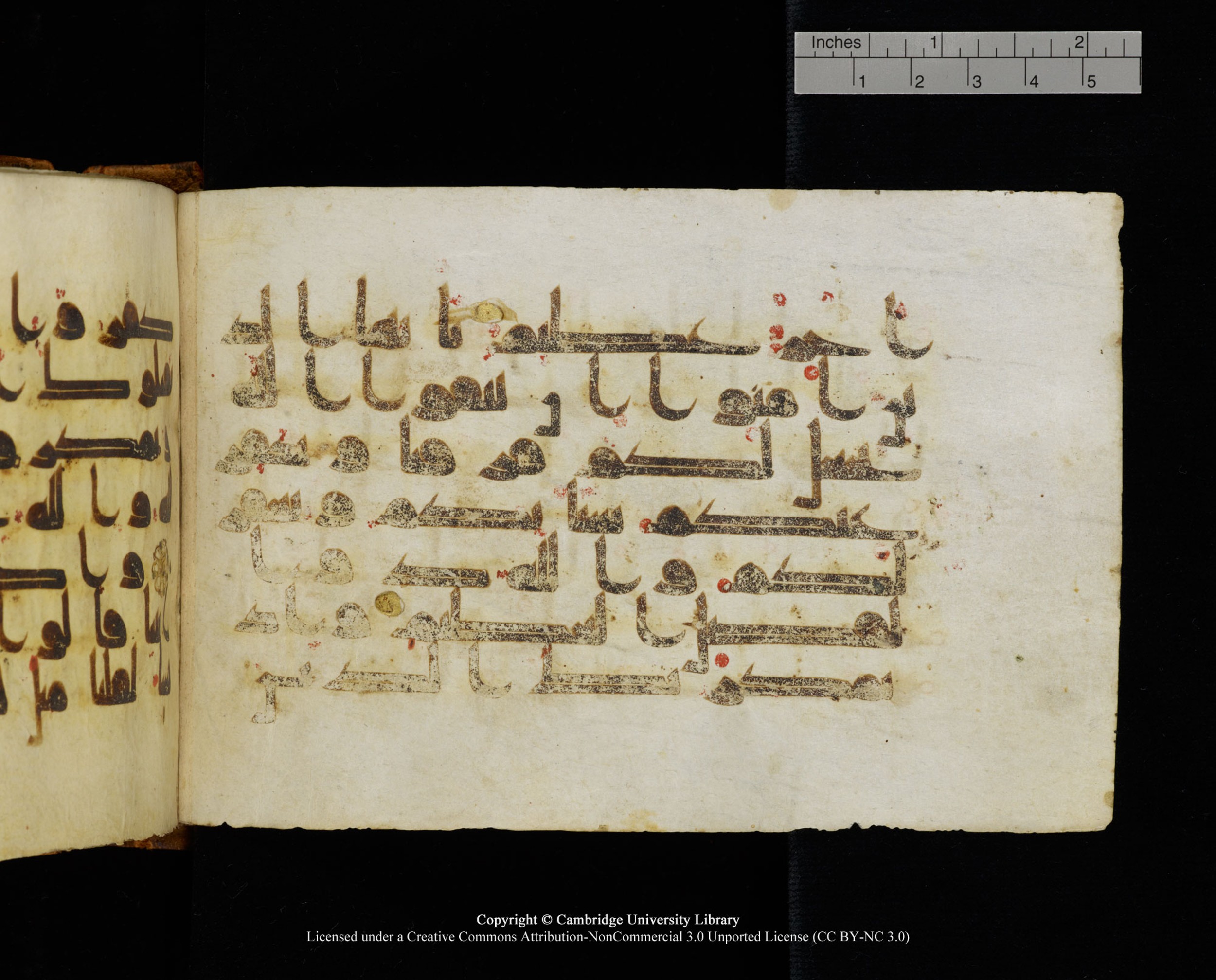 MS Add.1124 (Scan 2), in kūfī D I script, showing Surah 8:28 from 9th to 10th Century AD found in Sinai Peninsula, currently housed at Cambridge University Library, Cambridge