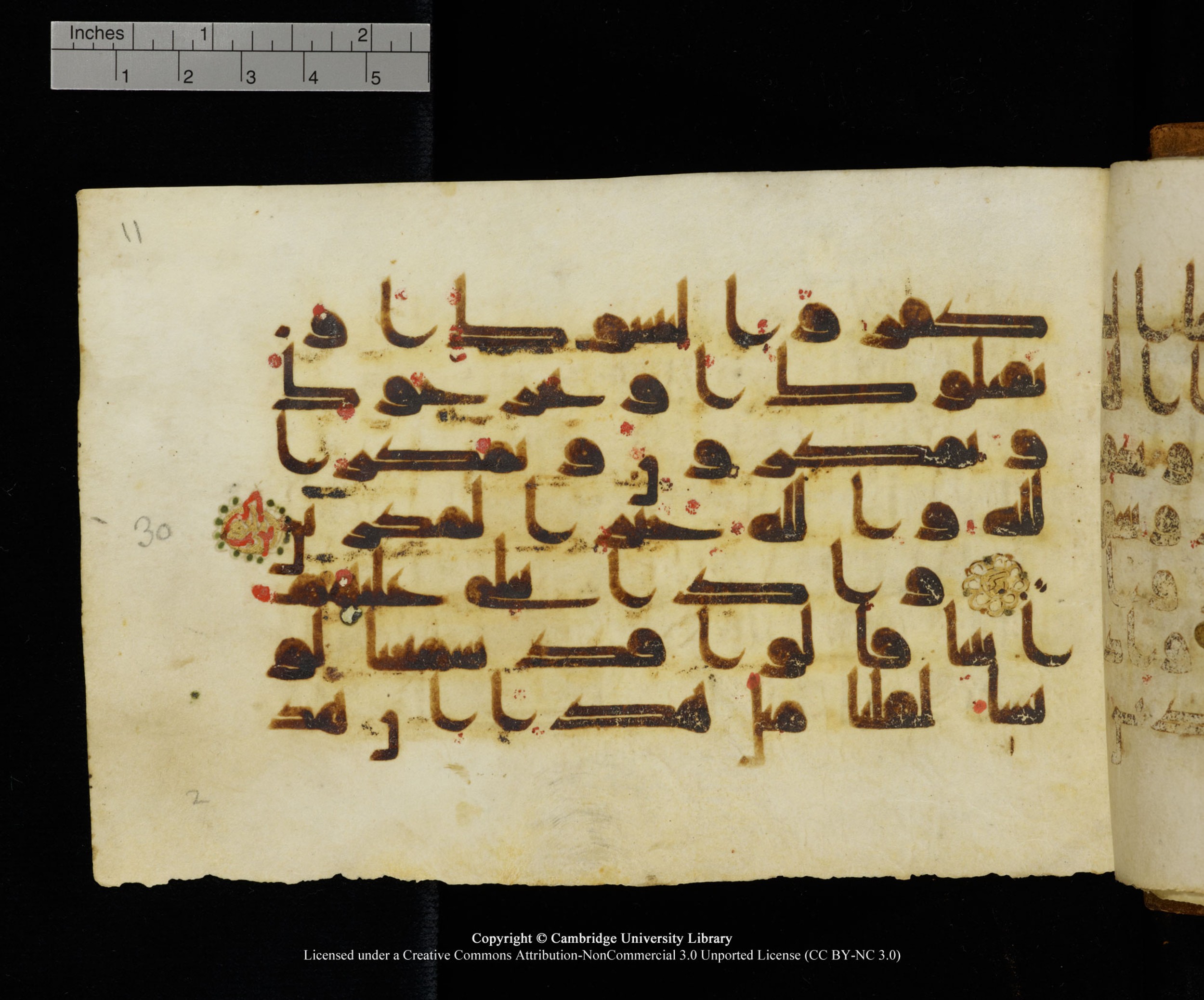 MS Add.1124 (Scan 2), in kūfī D I script, showing Surah 8:30 from 9th to 10th Century AD found in Sinai Peninsula, currently housed at Cambridge University Library, Cambridge