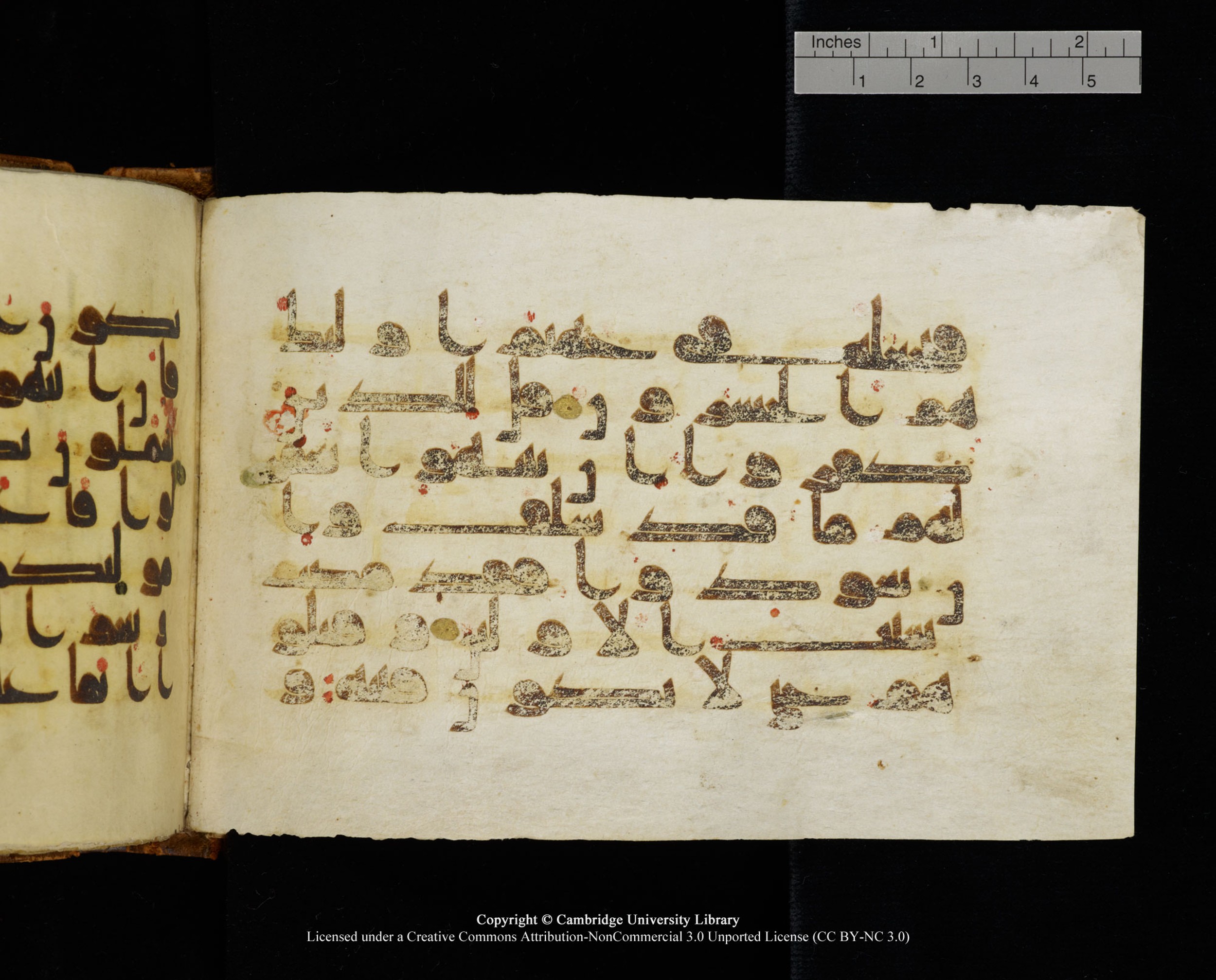 MS Add.1124 (Scan 1), in kūfī D I script, showing Surah 8:39 from 9th to 10th Century AD found in Sinai Peninsula, currently housed at Cambridge University Library, Cambridge