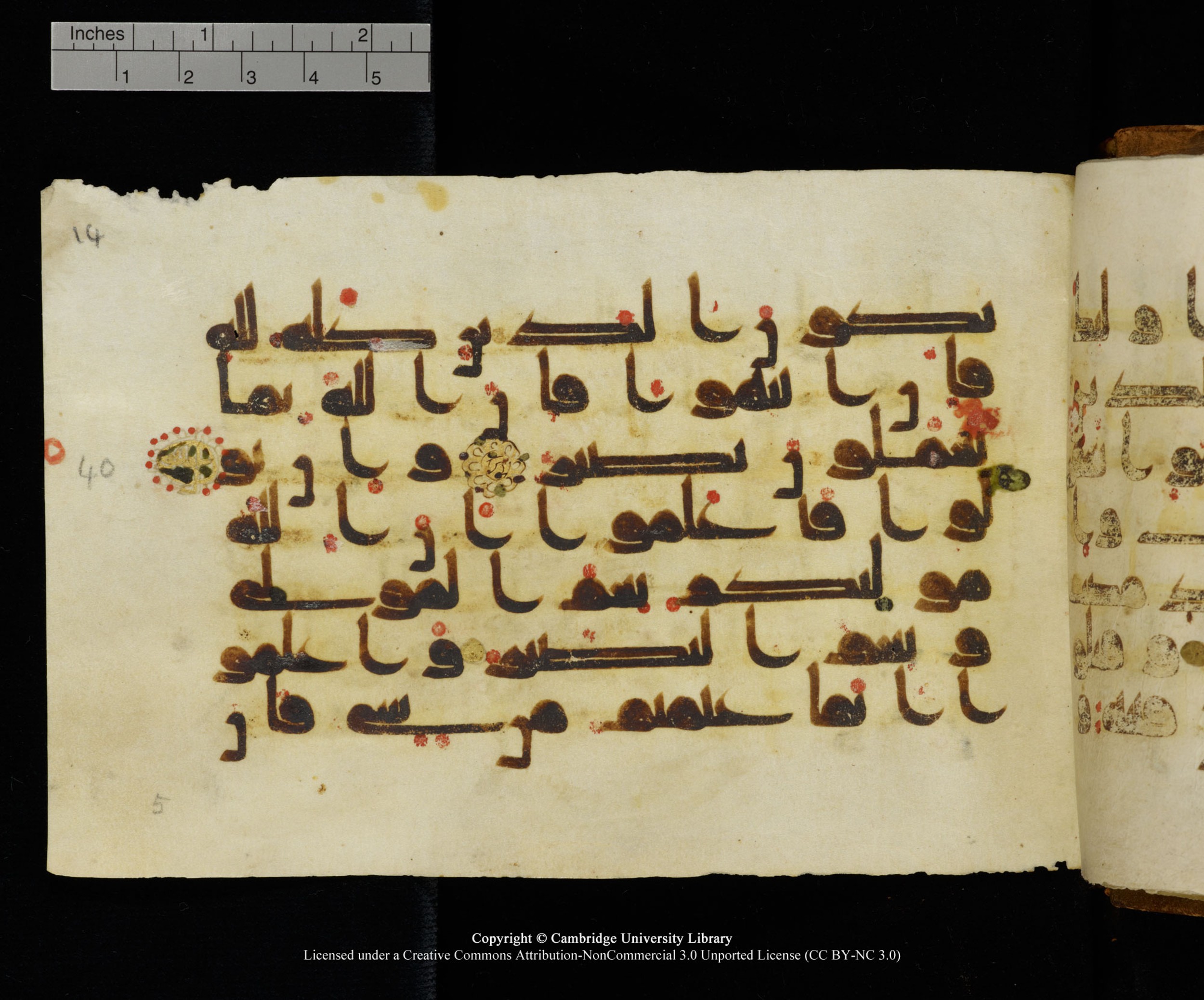 MS Add.1124 (Scan 2), in kūfī D I script, showing Surah 8:39 from 9th to 10th Century AD found in Sinai Peninsula, currently housed at Cambridge University Library, Cambridge