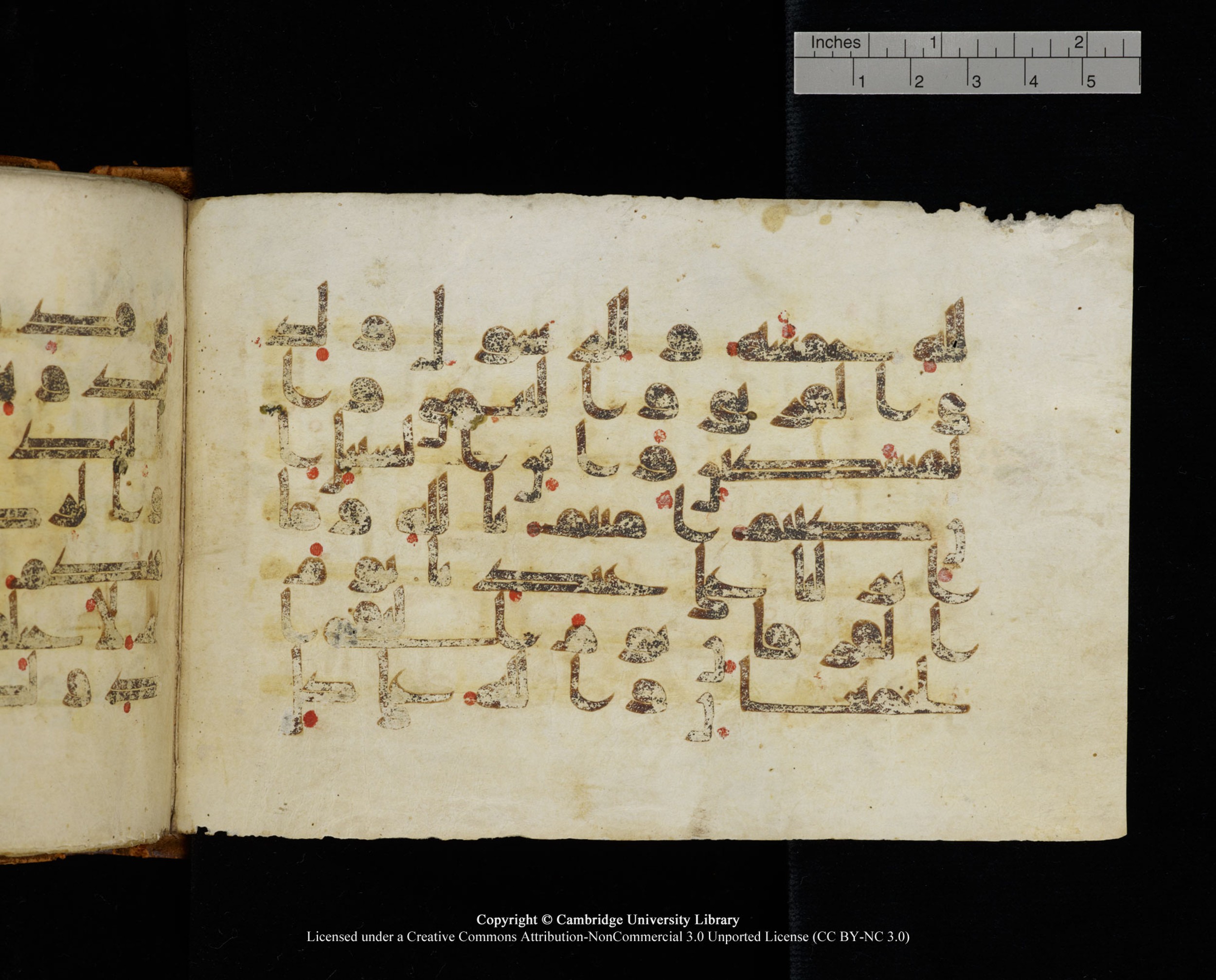 MS Add.1124 (Scan 2), in kūfī D I script, showing Surah 8:41 from 9th to 10th Century AD found in Sinai Peninsula, currently housed at Cambridge University Library, Cambridge