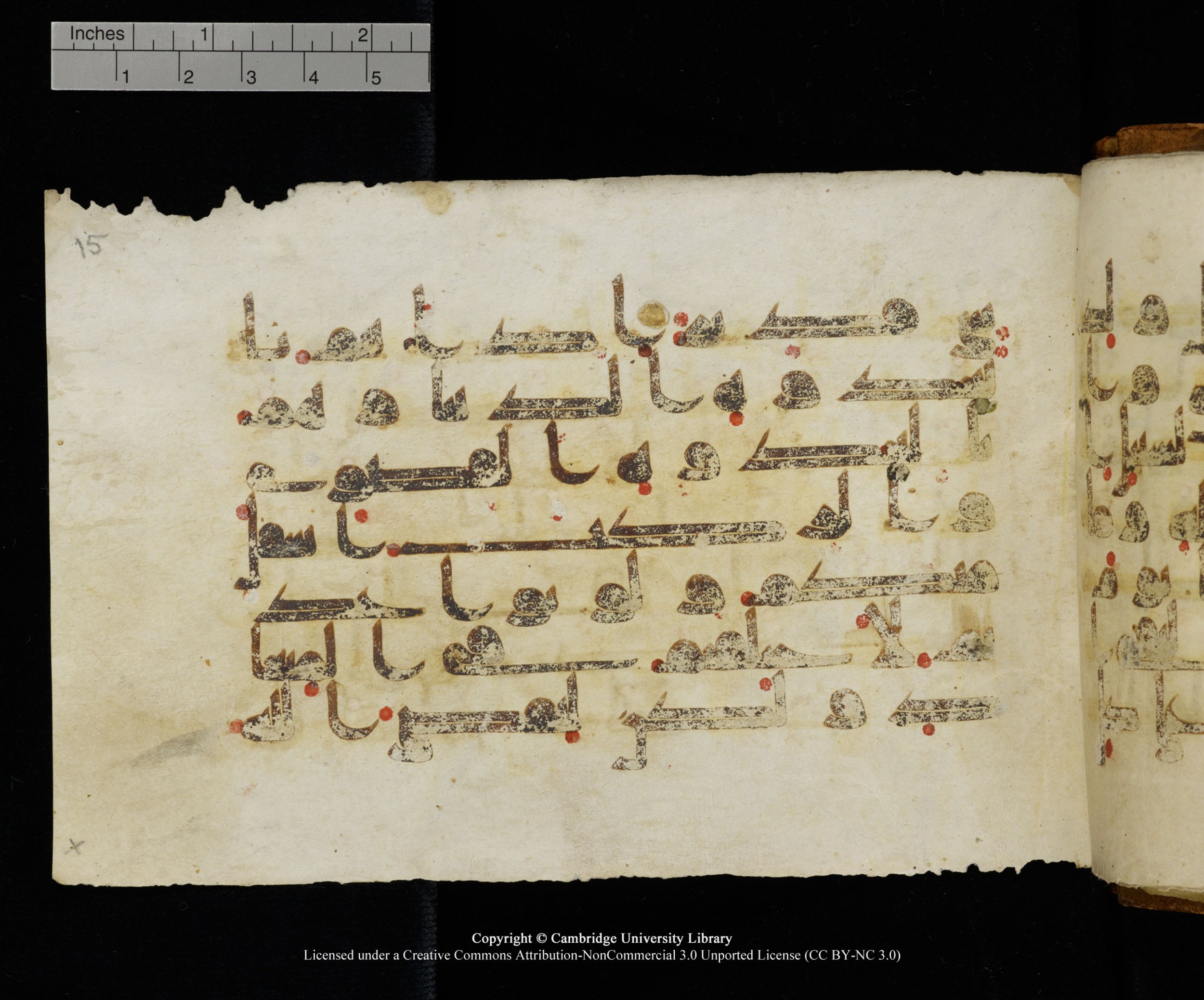 MS Add.1124 (Scan 3), in kūfī D I script, showing Surah 8:41 from 9th to 10th Century AD found in Sinai Peninsula, currently housed at Cambridge University Library, Cambridge