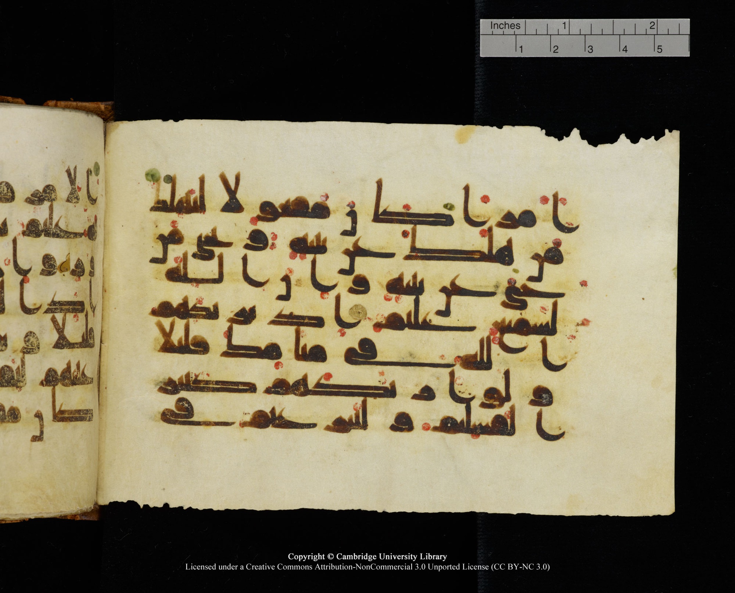 MS Add.1124 (Scan 1), in kūfī D I script, showing Surah 8:43 from 9th to 10th Century AD found in Sinai Peninsula, currently housed at Cambridge University Library, Cambridge