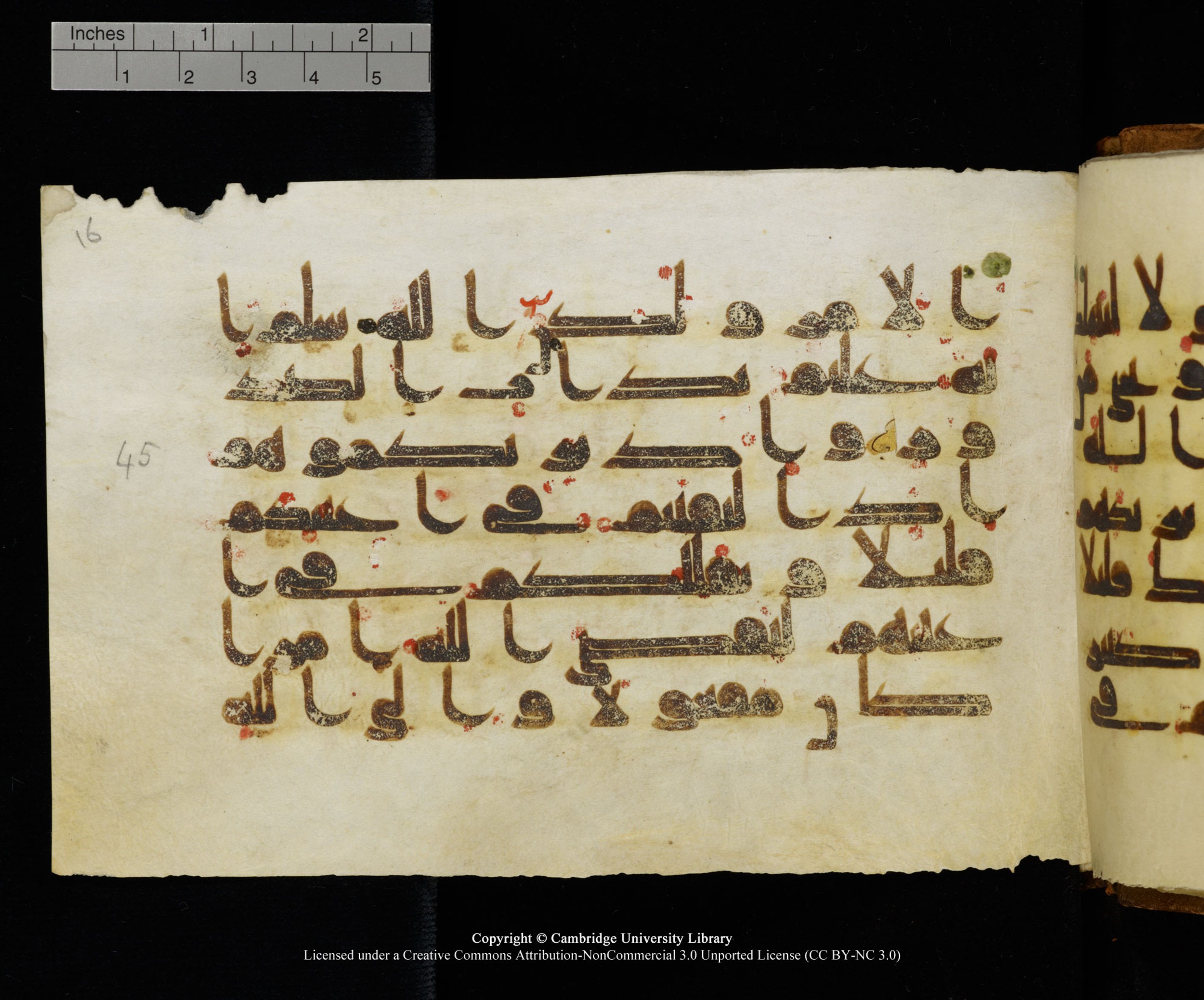 MS Add.1124 (Scan 1), in kūfī D I script, showing Surah 8:44 from 9th to 10th Century AD found in Sinai Peninsula, currently housed at Cambridge University Library, Cambridge