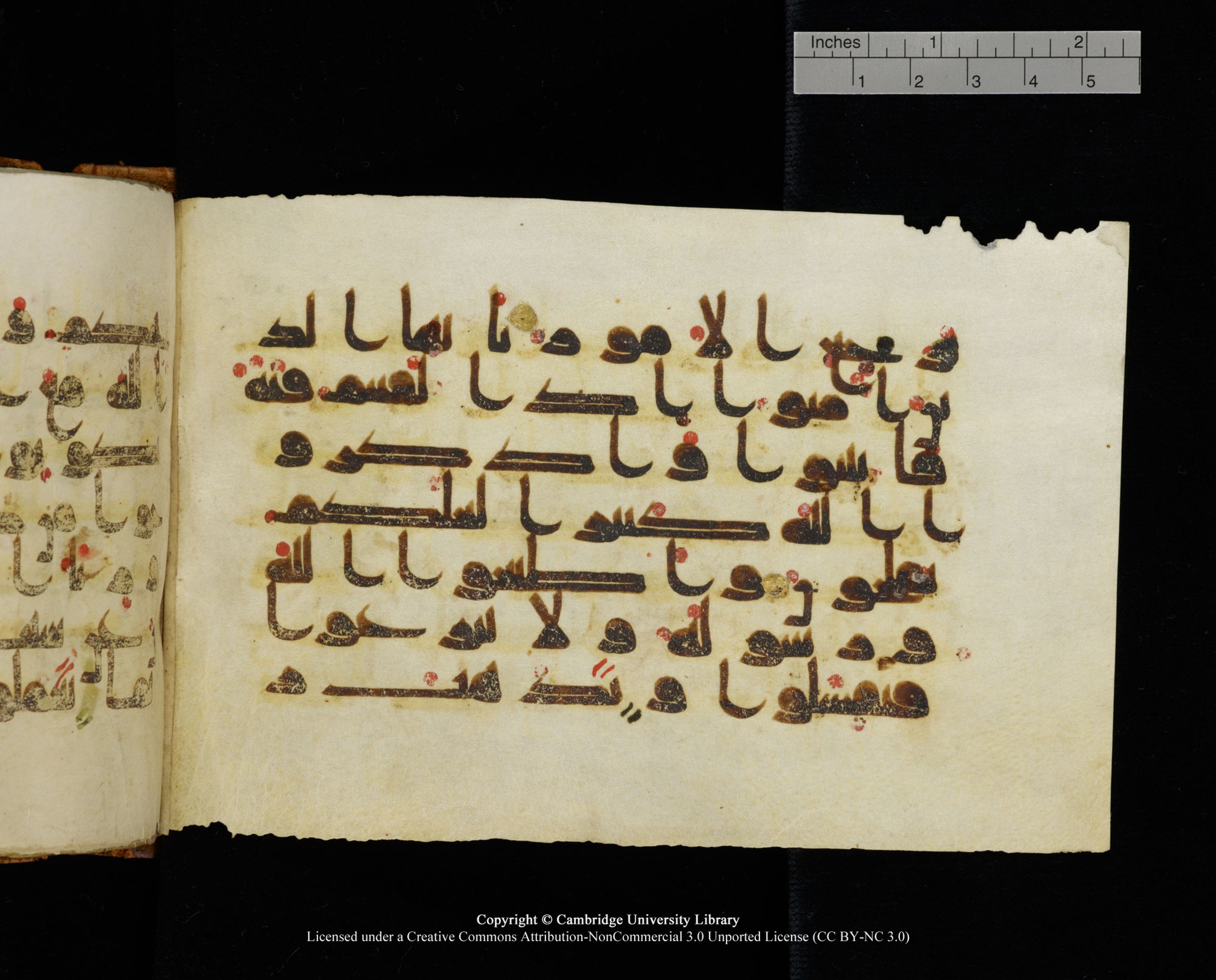 MS Add.1124, in kūfī D I script, showing Surah 8:45 from 9th to 10th Century AD found in Sinai Peninsula, currently housed at Cambridge University Library, Cambridge