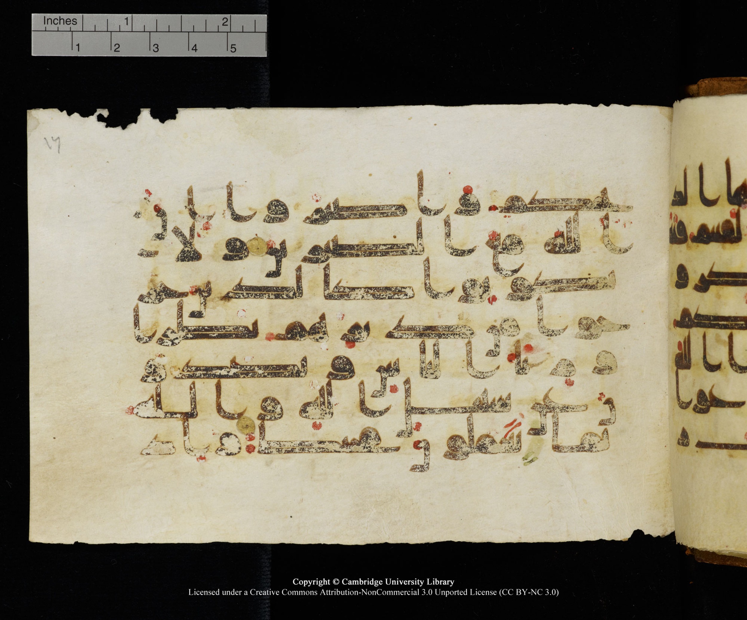 MS Add.1124 (Scan 2), in kūfī D I script, showing Surah 8:46 from 9th to 10th Century AD found in Sinai Peninsula, currently housed at Cambridge University Library, Cambridge