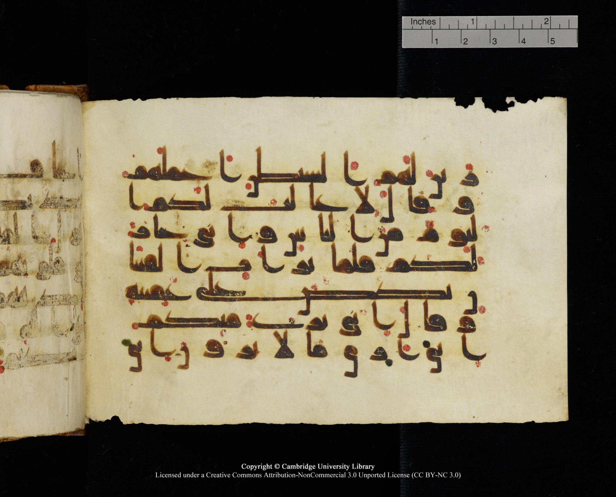 MS Add.1124 (Scan 2), in kūfī D I script, showing Surah 8:48 from 9th to 10th Century AD found in Sinai Peninsula, currently housed at Cambridge University Library, Cambridge